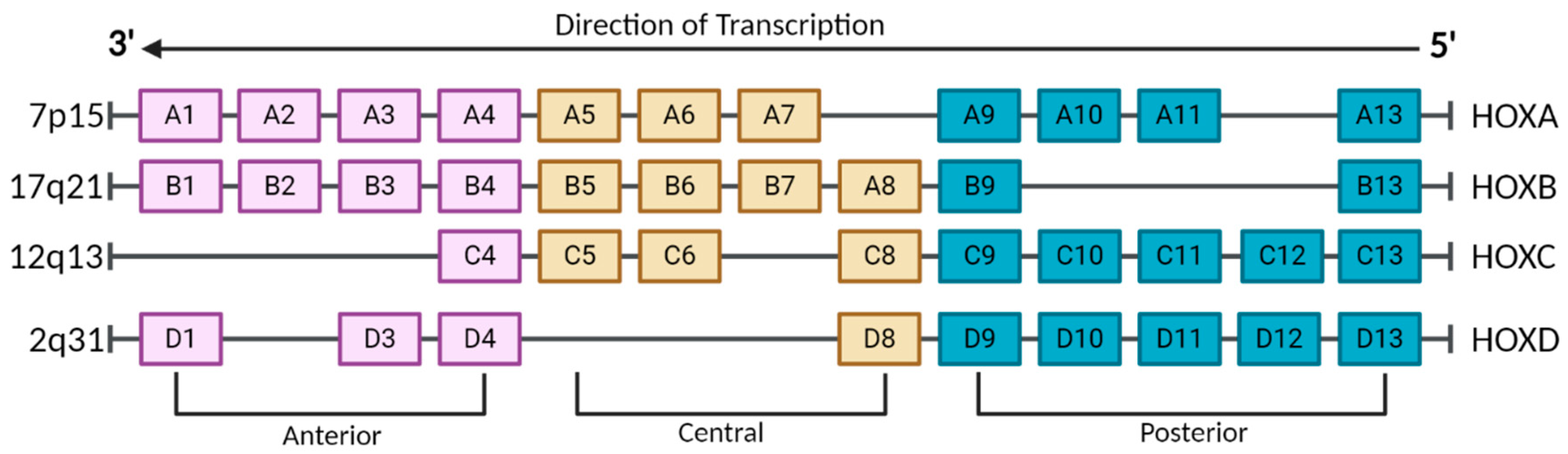 Cancers 17 00262 g001