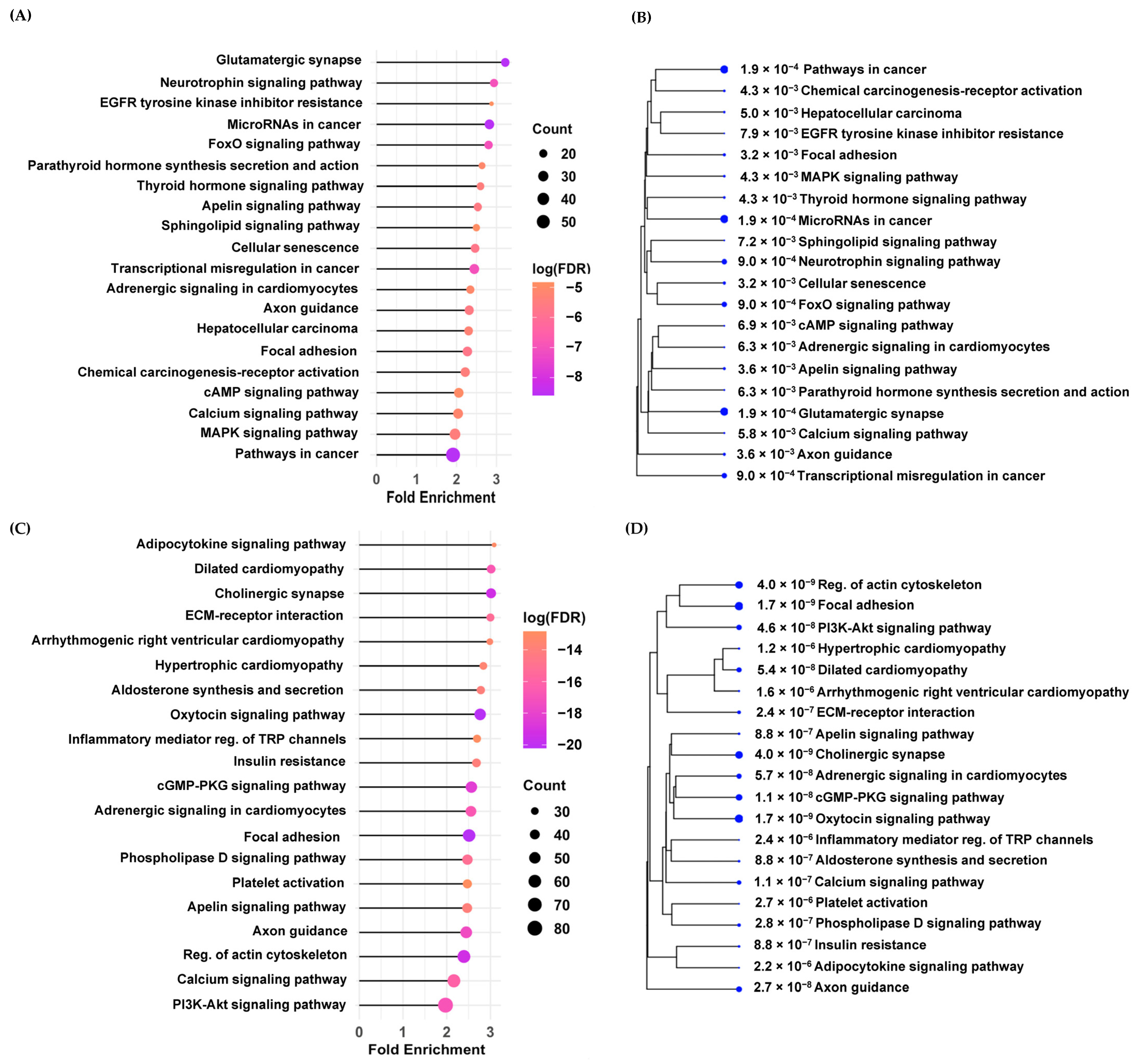 Cancers 17 00266 g002