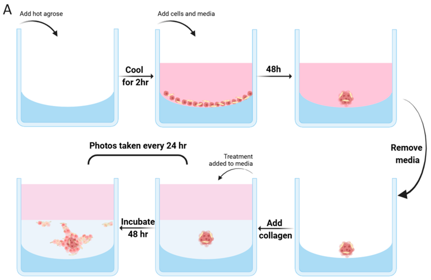 Cancers 17 00267 g001a