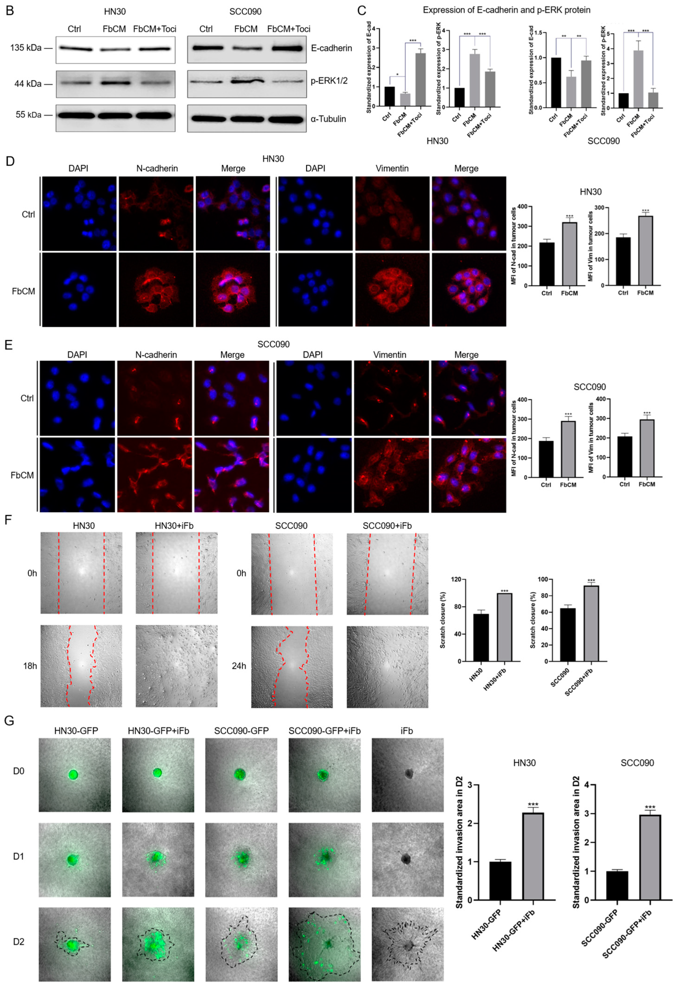 Cancers 17 00267 g001b
