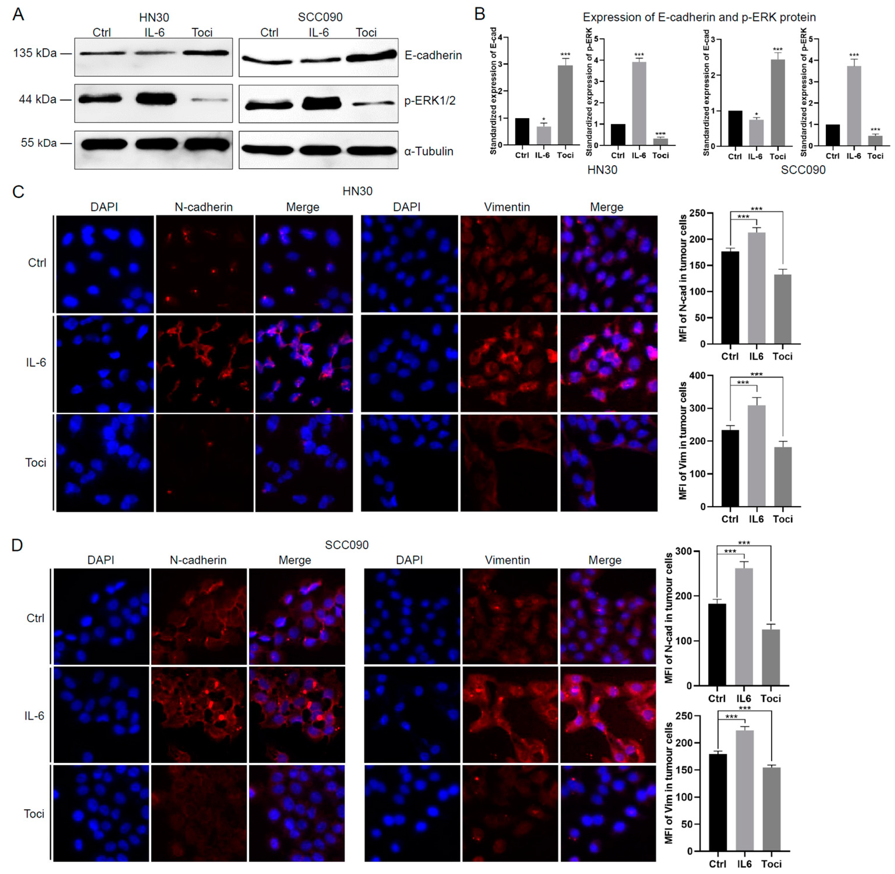Cancers 17 00267 g002a