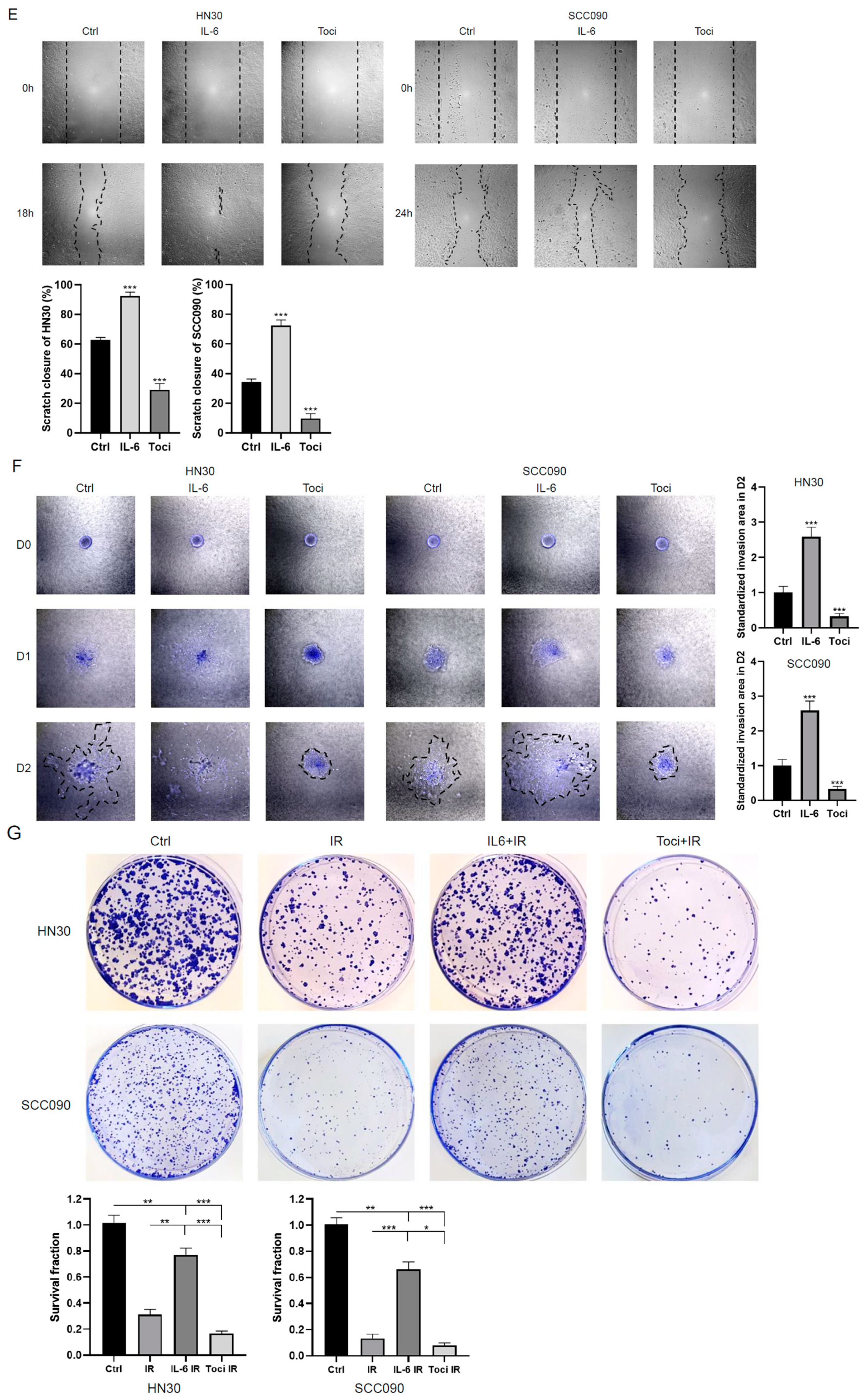 Cancers 17 00267 g002b