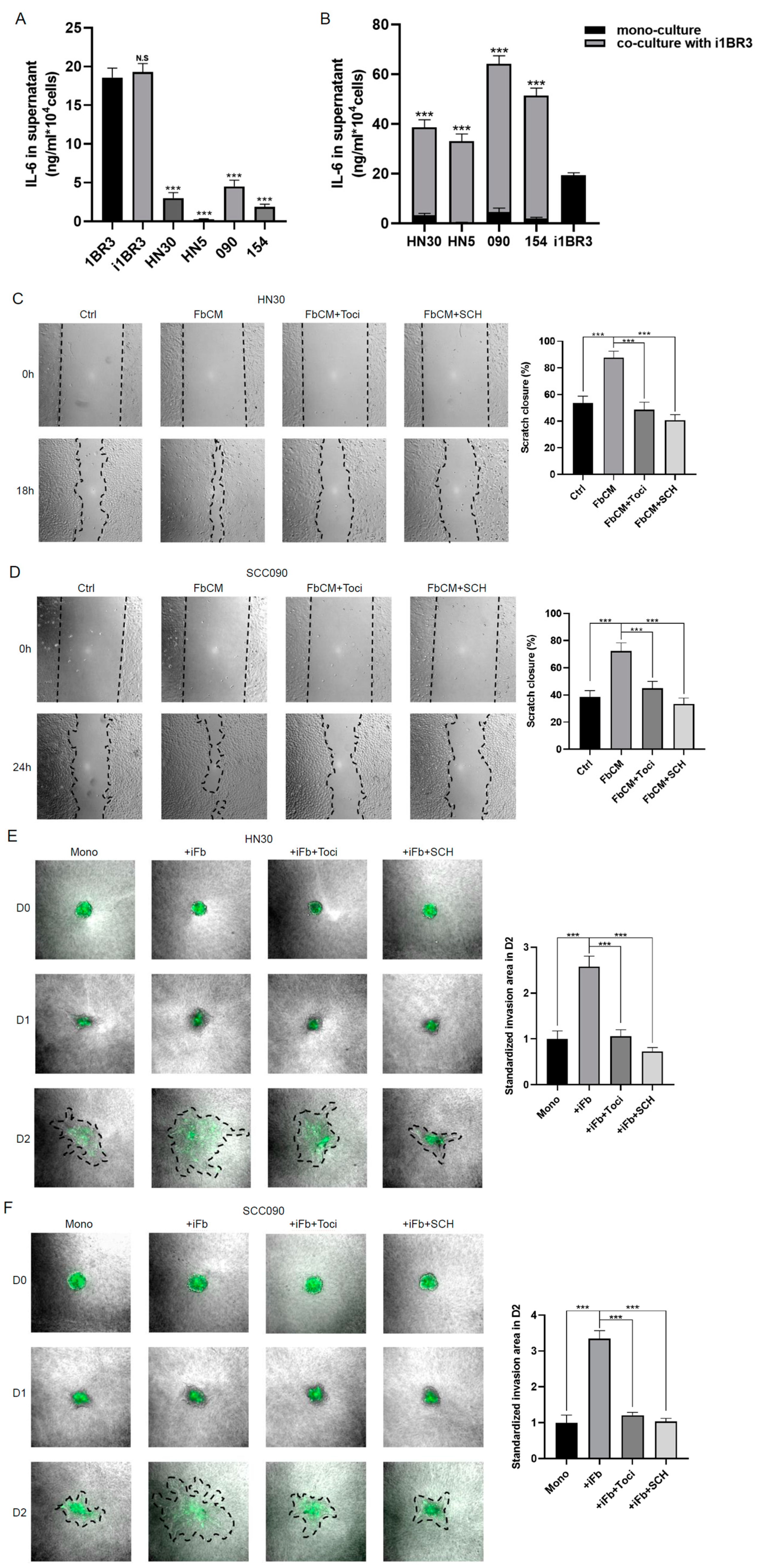 Cancers 17 00267 g004a