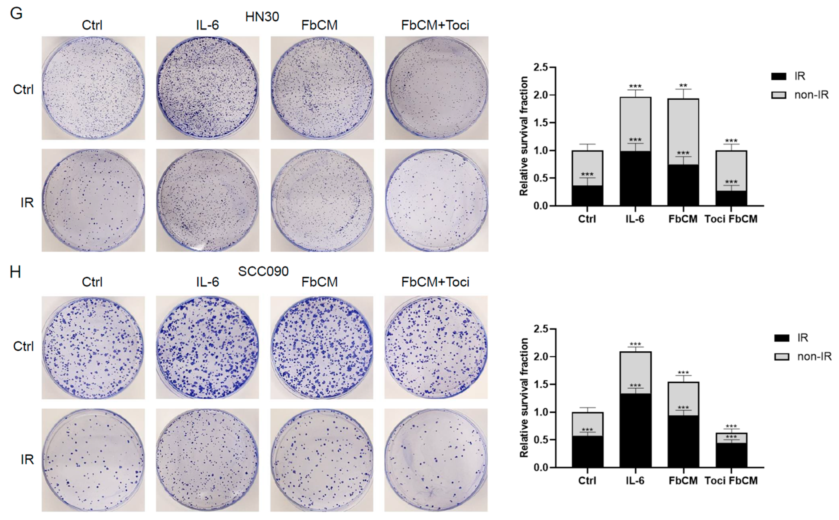 Cancers 17 00267 g004b