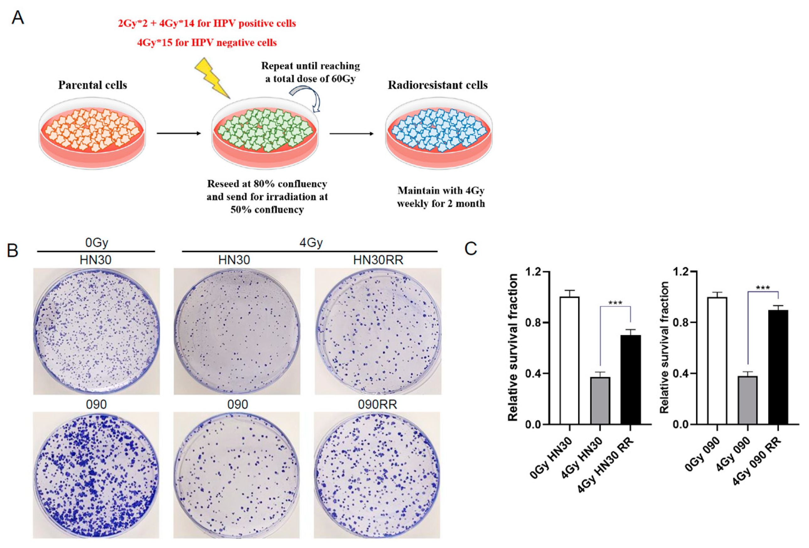 Cancers 17 00267 g006a