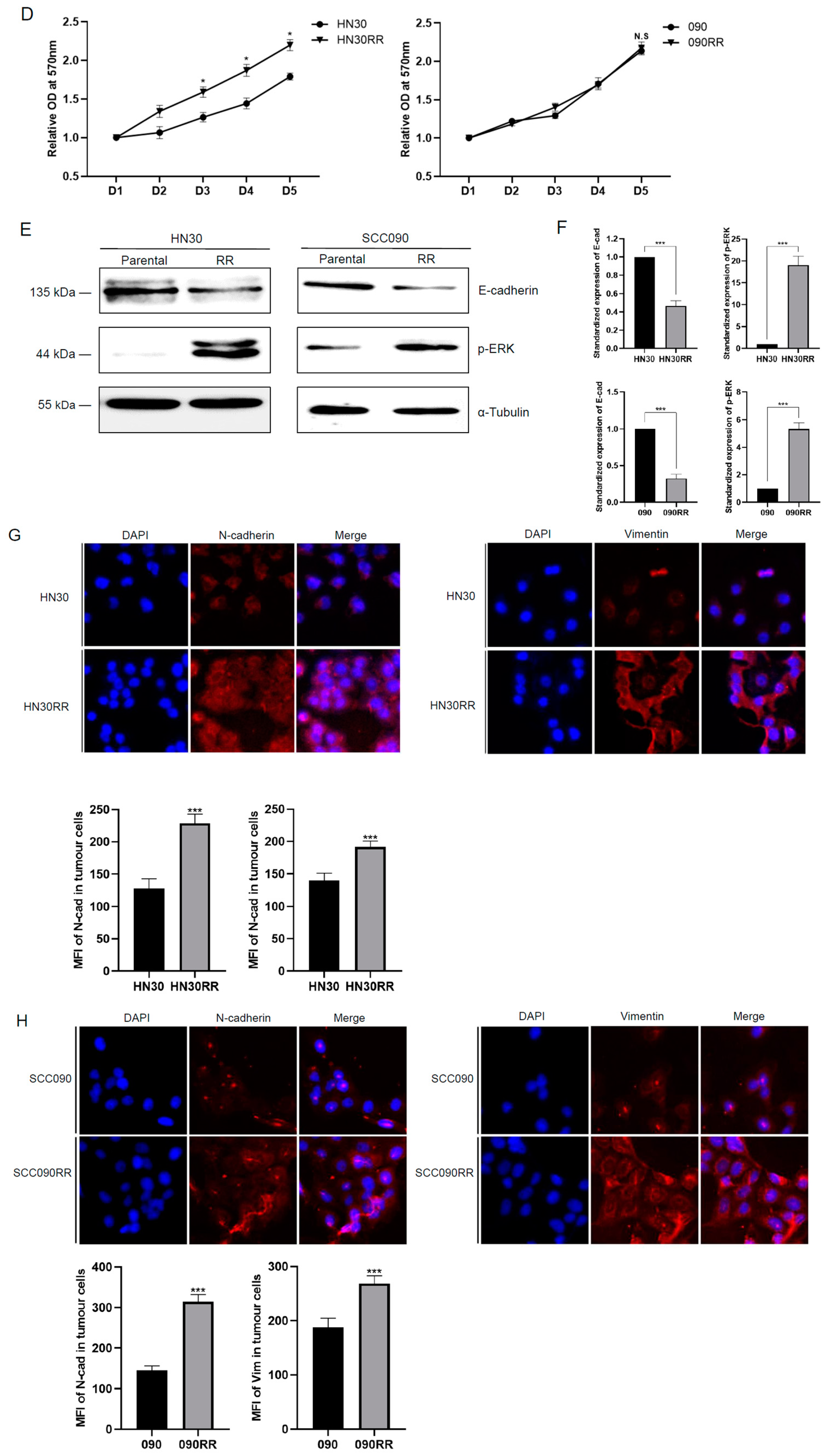 Cancers 17 00267 g006b