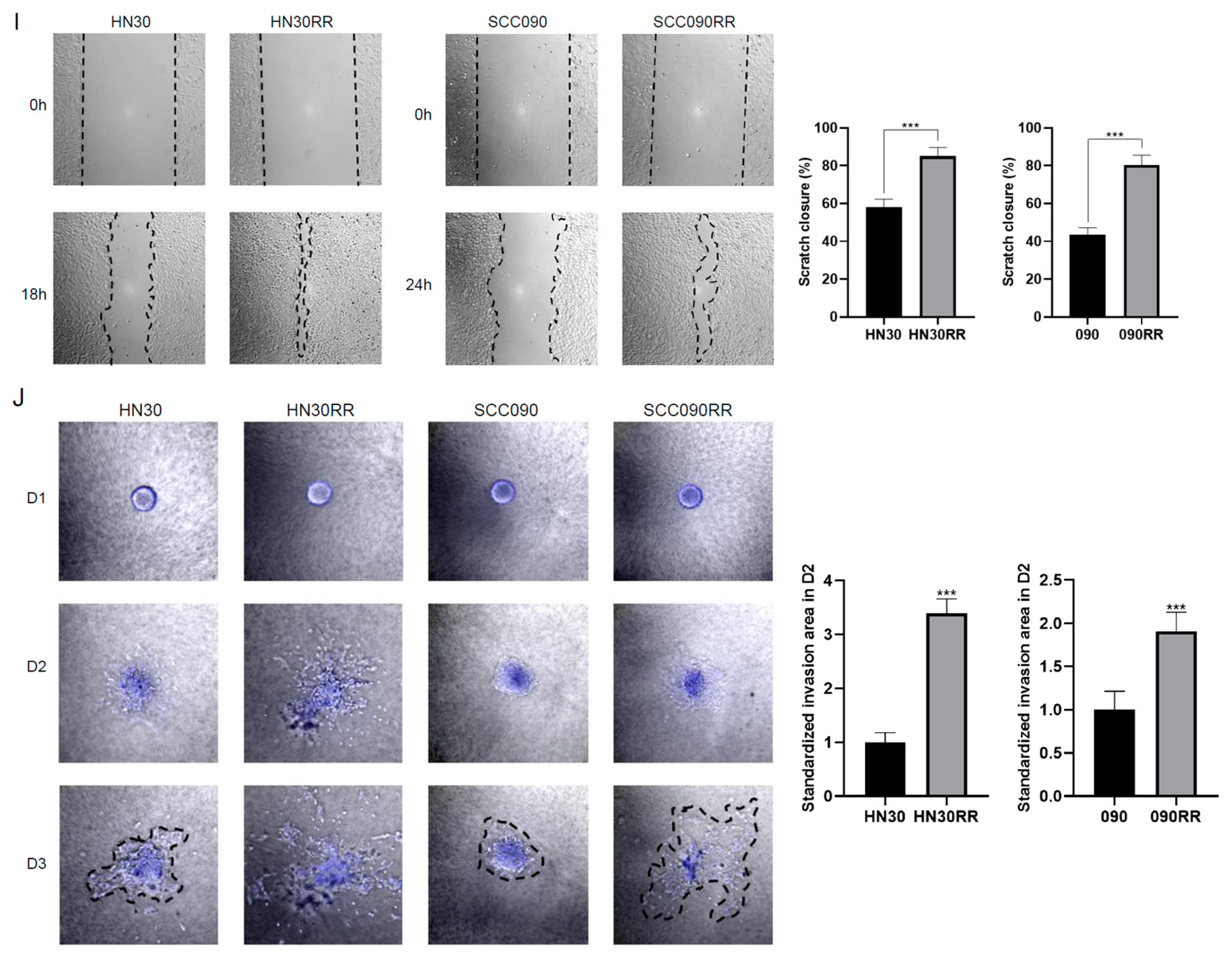 Cancers 17 00267 g006c