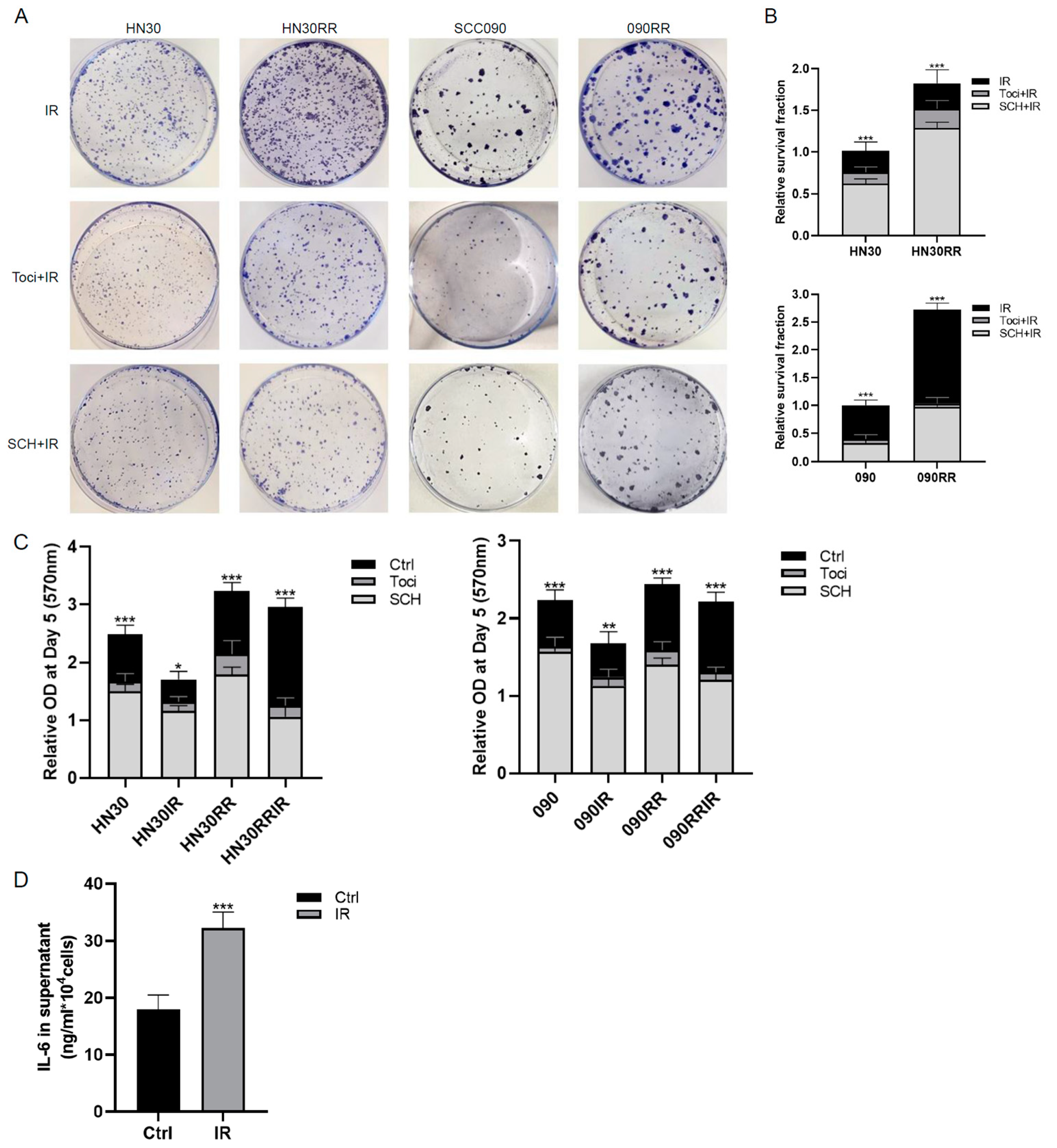 Cancers 17 00267 g007a