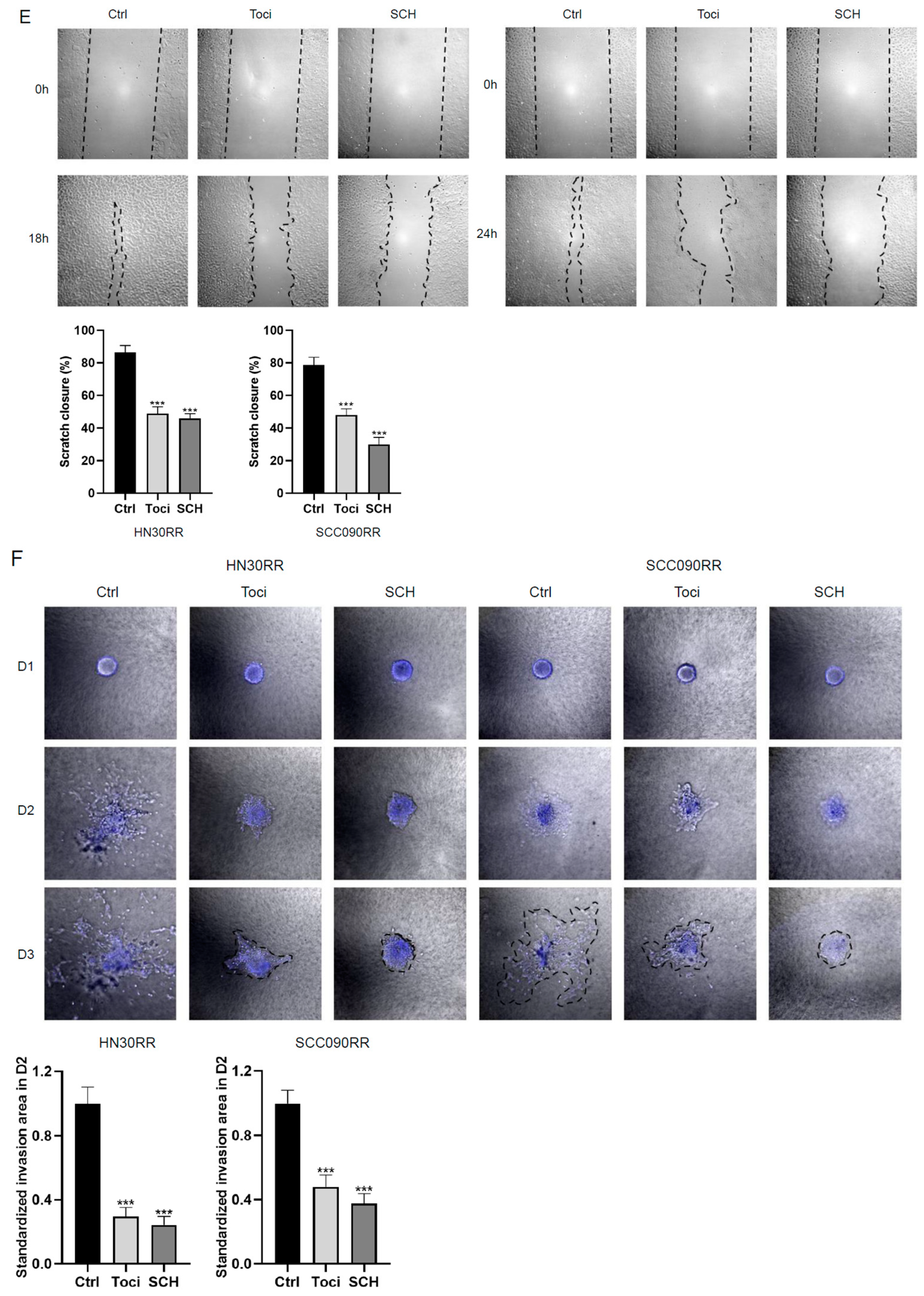 Cancers 17 00267 g007b
