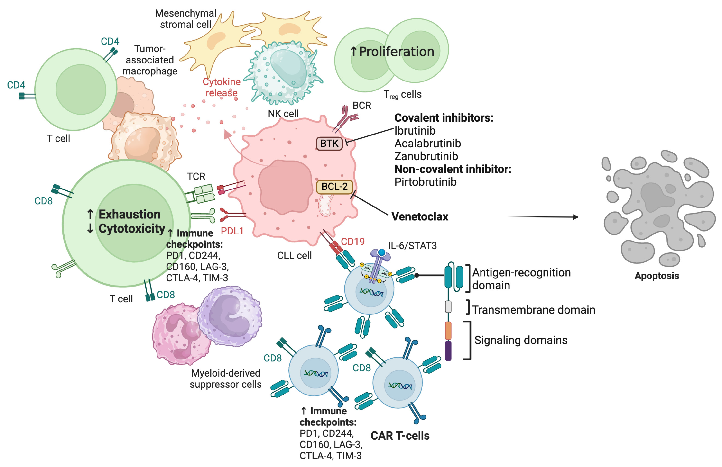 Cancers 17 00268 g001