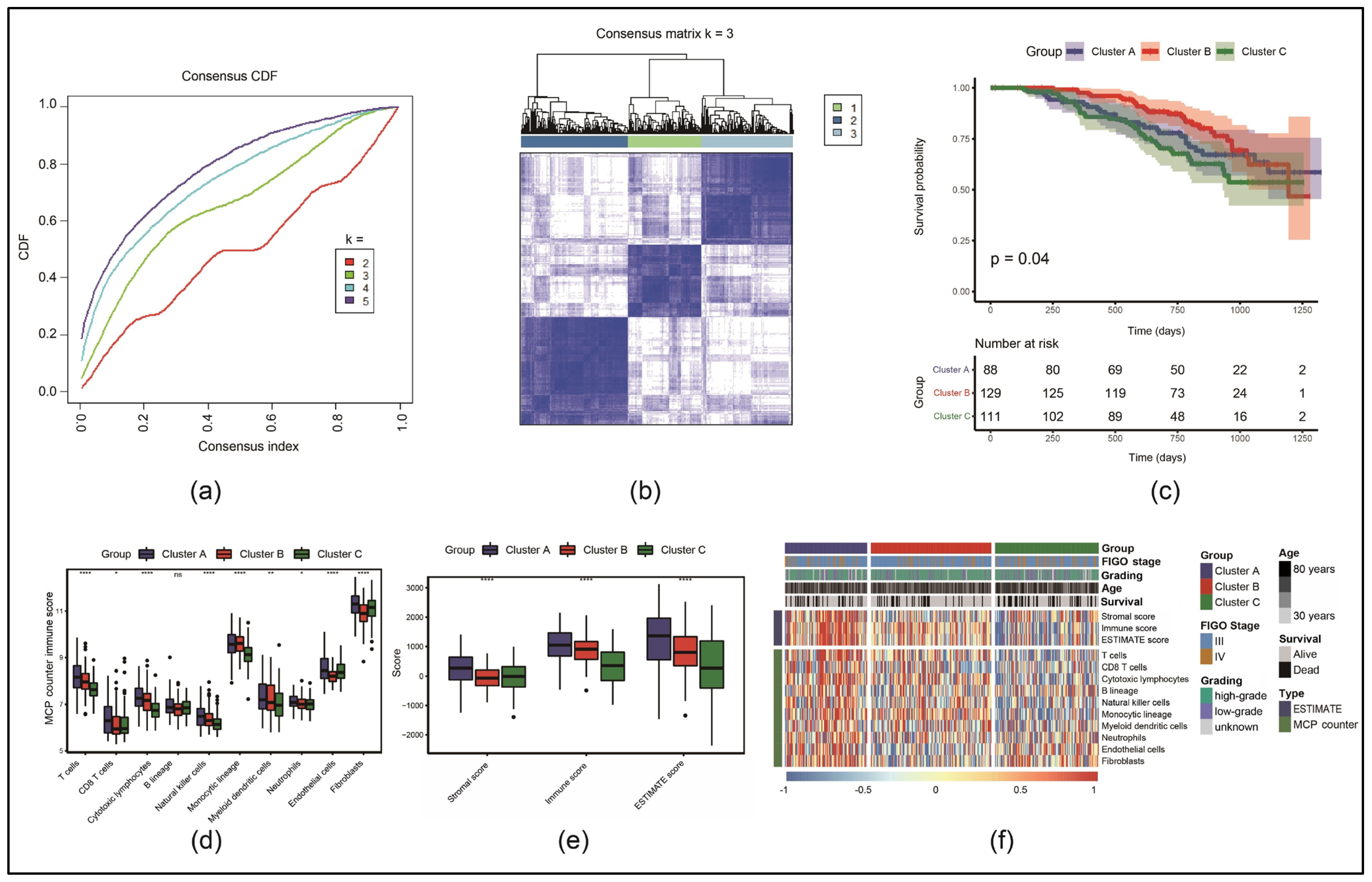 Cancers 17 00271 g001