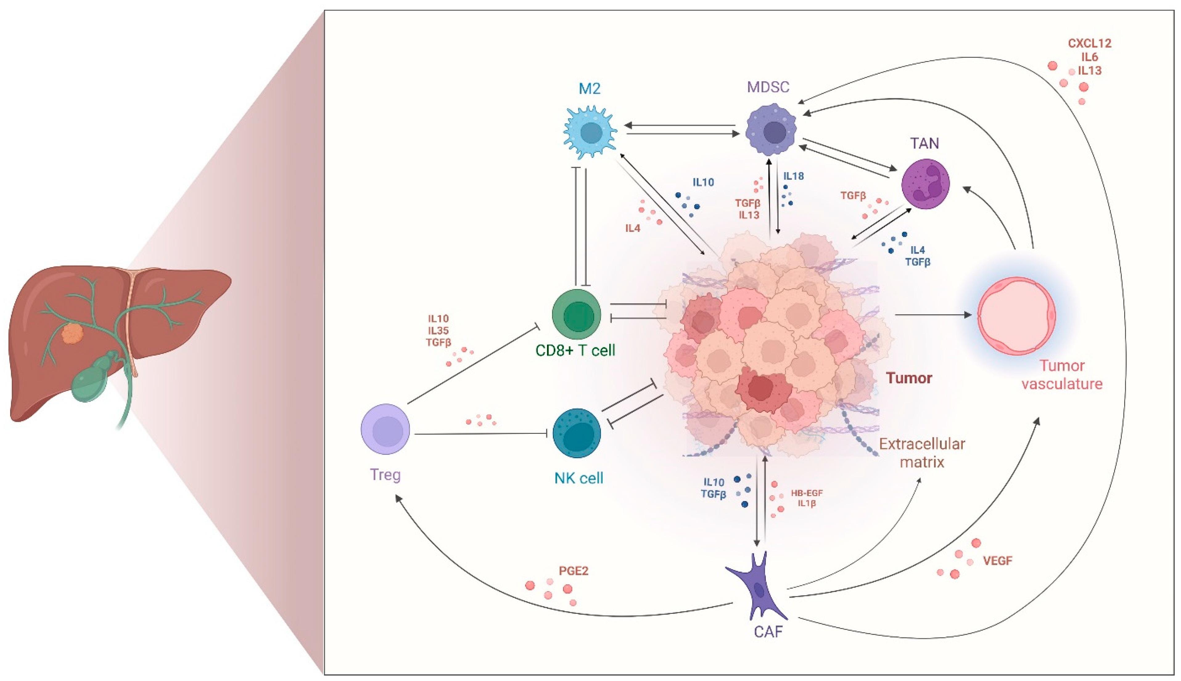 Cancers 17 00272 g001