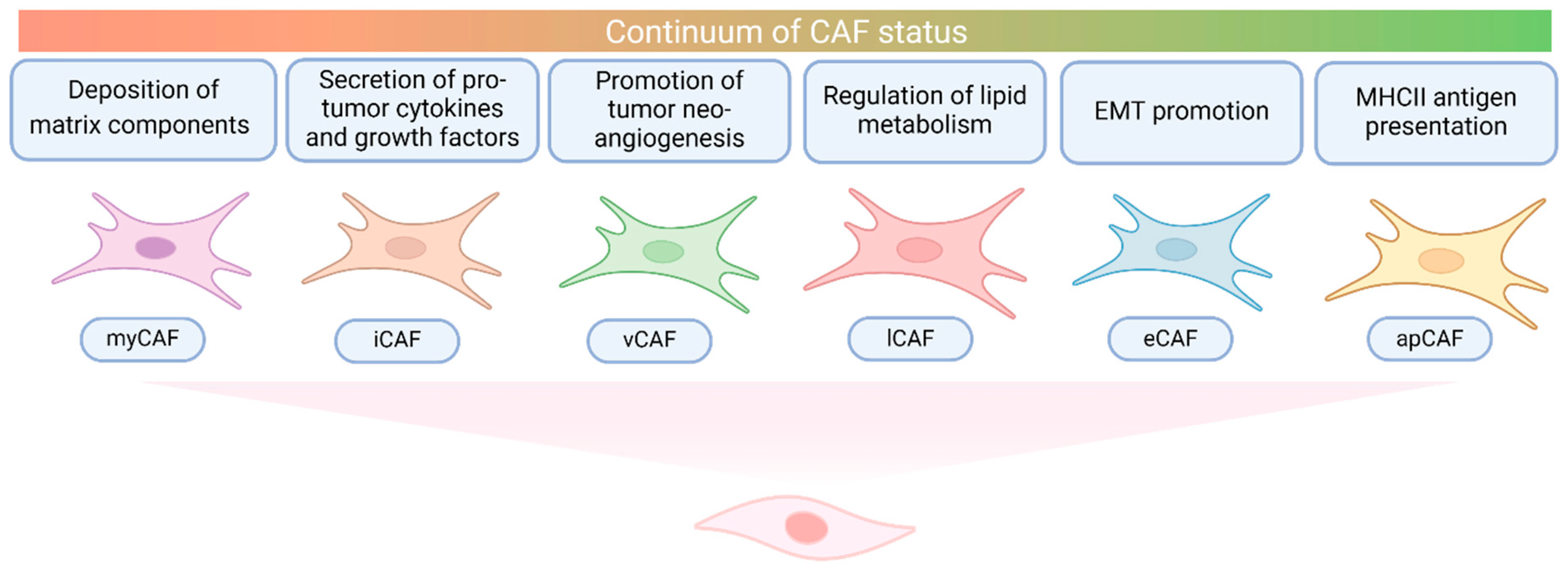 Cancers 17 00272 g002