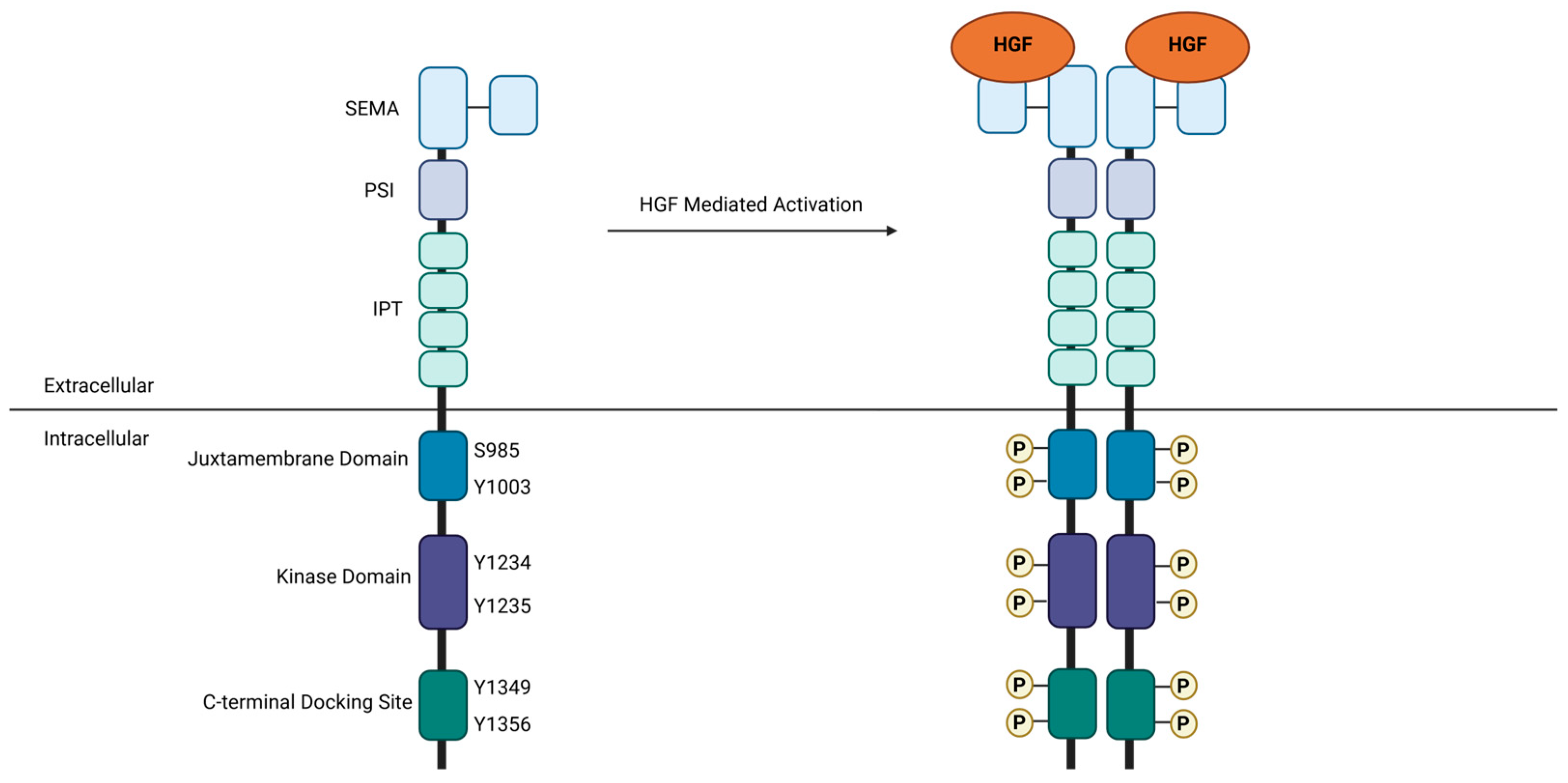 Cancers 17 00281 g001 Cancers 17 00281 g001