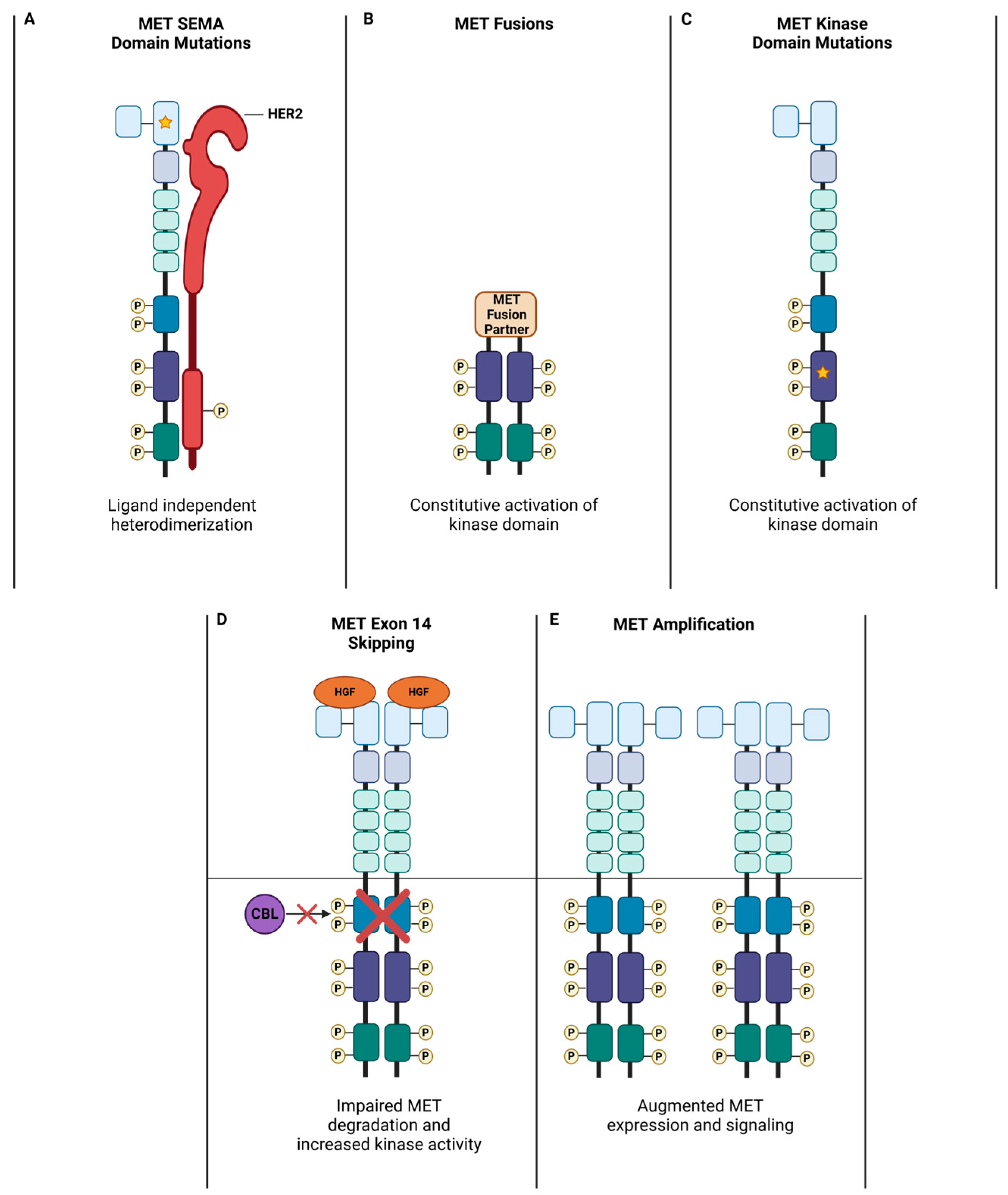 Cancers 17 00281 g003 Cancers 17 00281 g003