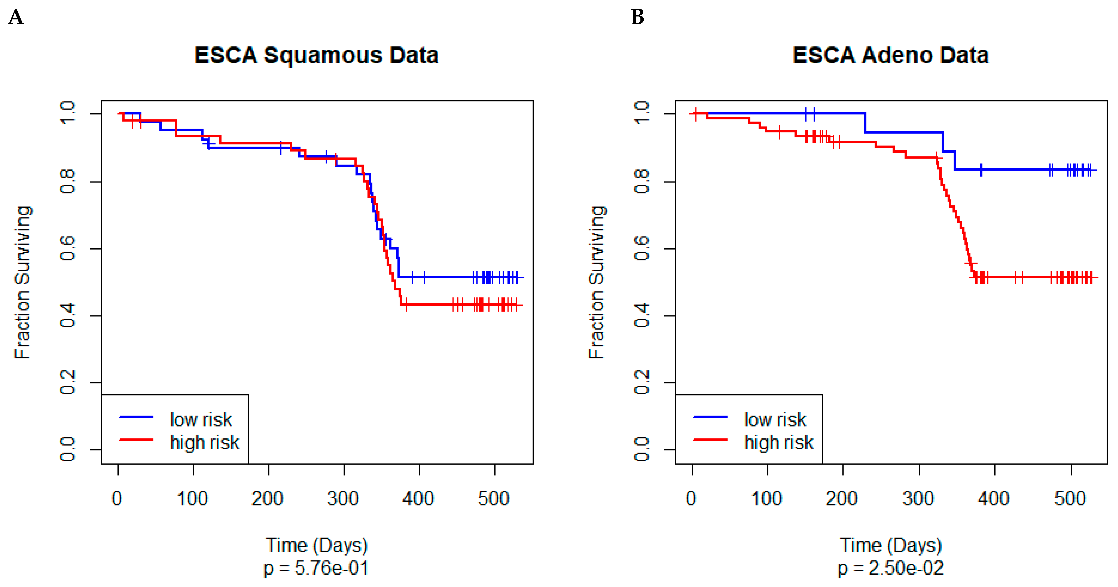 Cancers 17 00287 g005 Cancers 17 00287 g005
