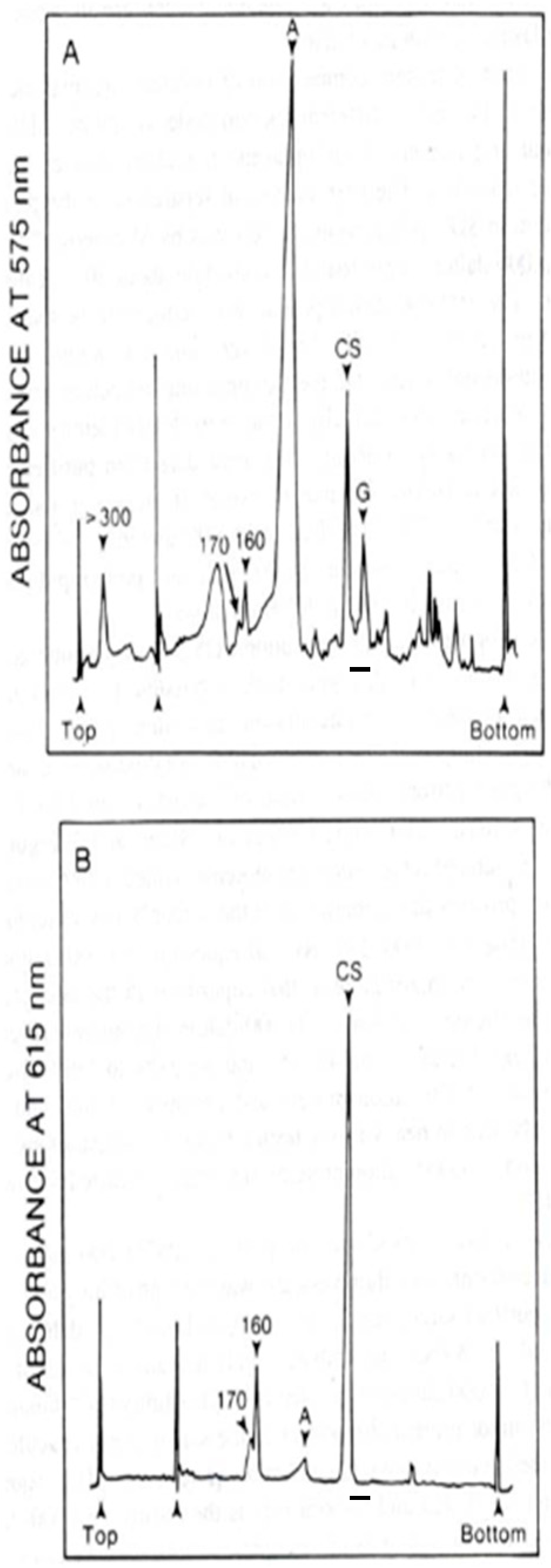 Cancers 17 00288 g001 Cancers 17 00288 g001