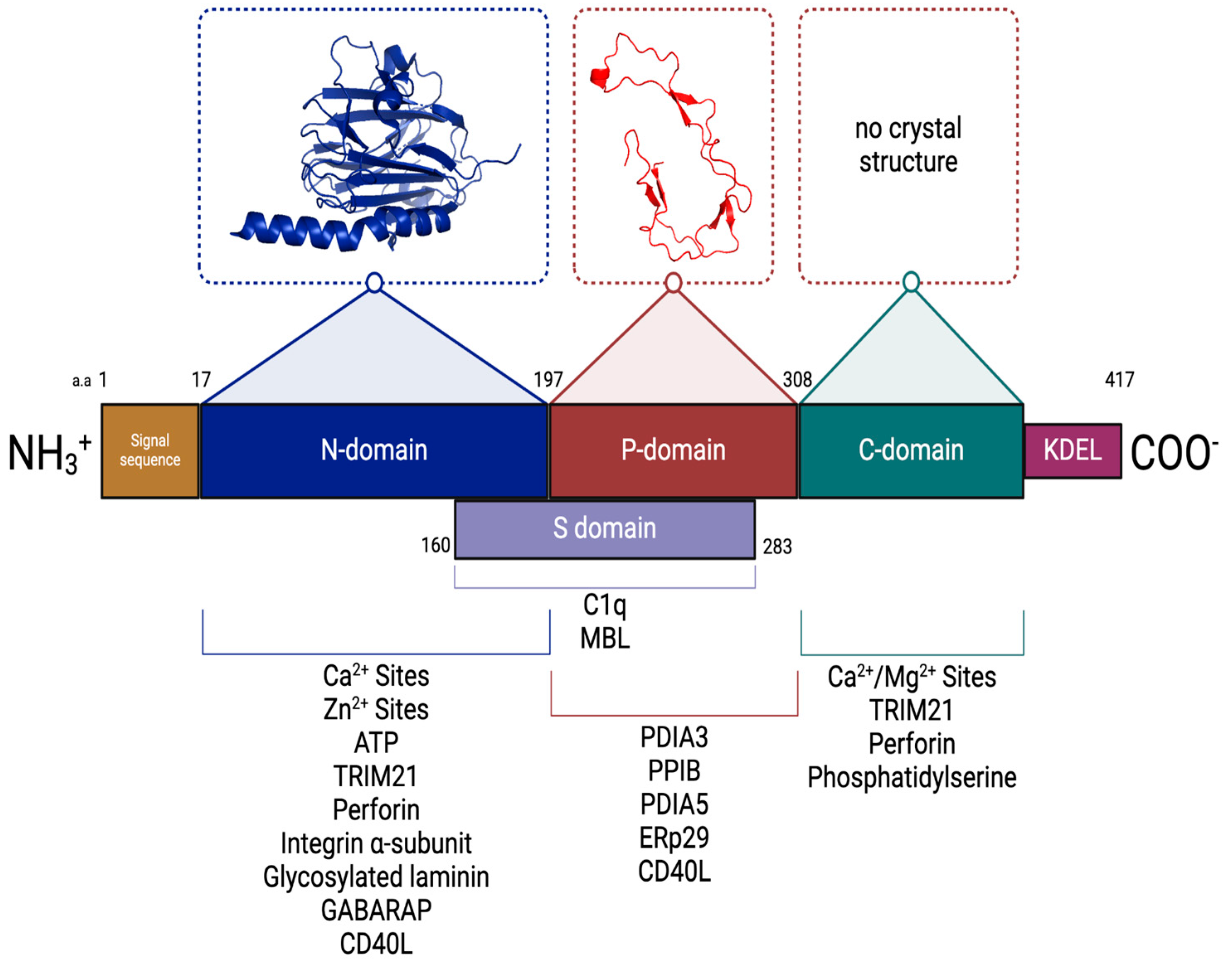Cancers 17 00288 g003 Cancers 17 00288 g003