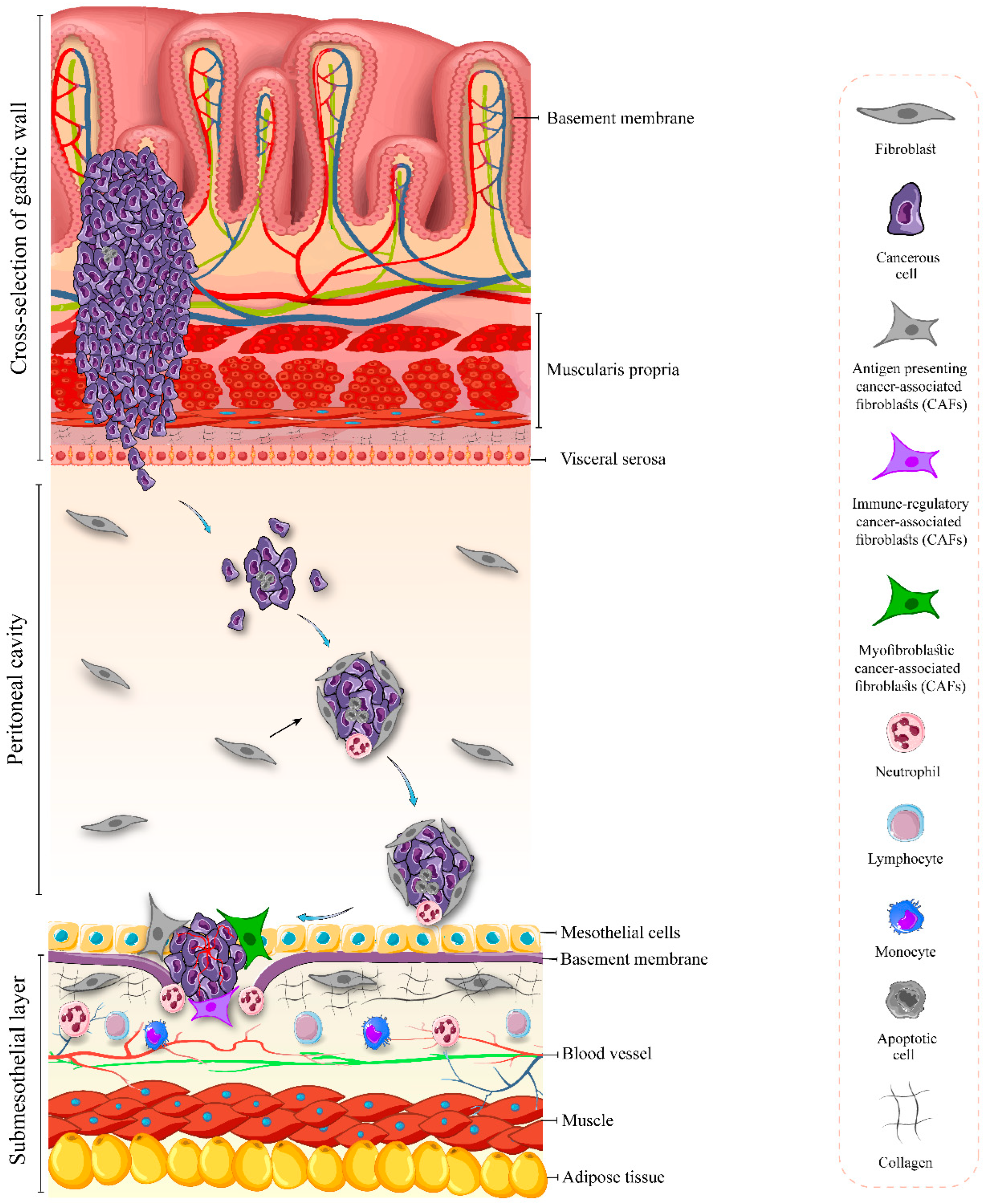 Cancers 17 00289 g001