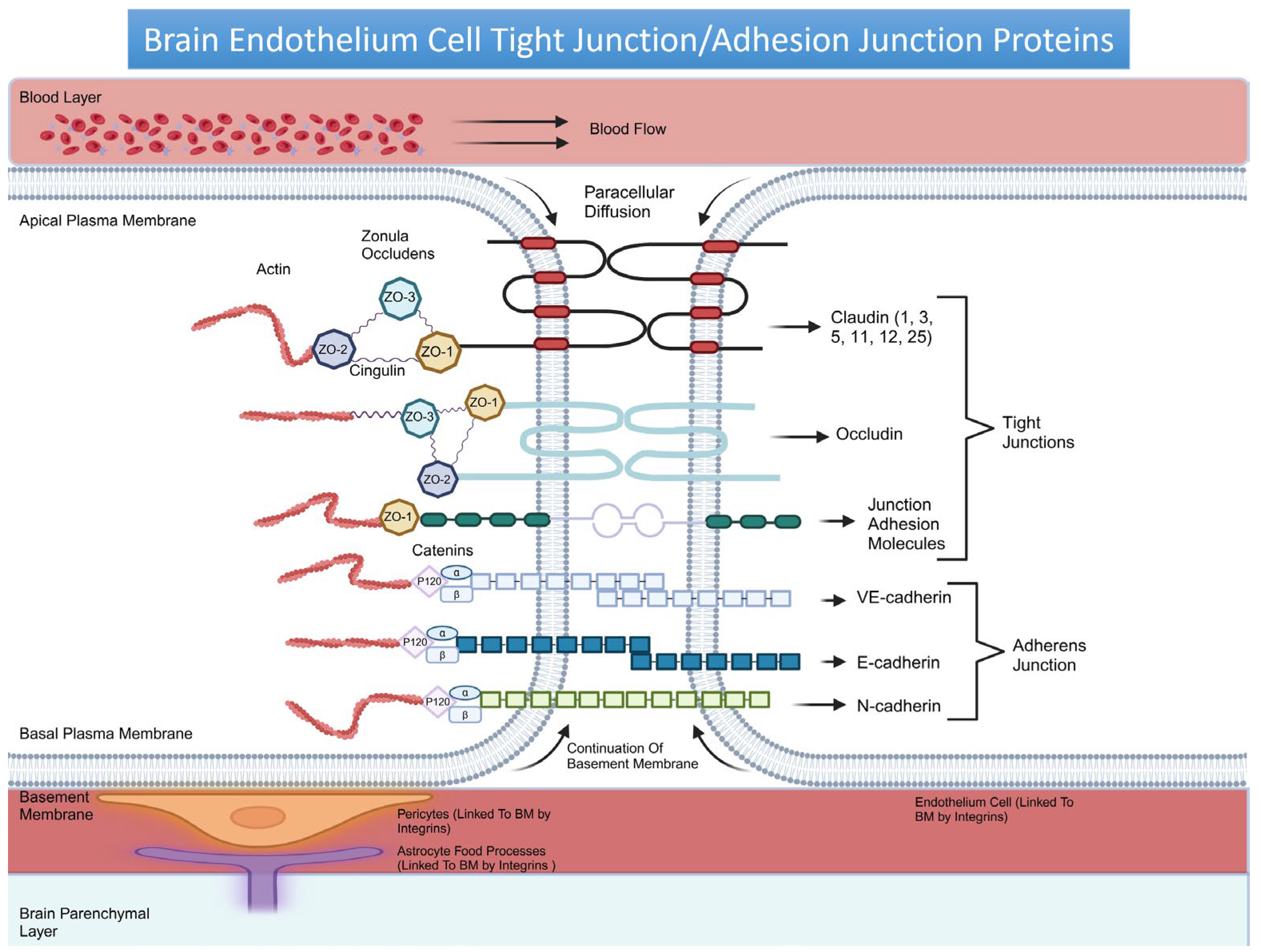 Cancers 17 00298 g001