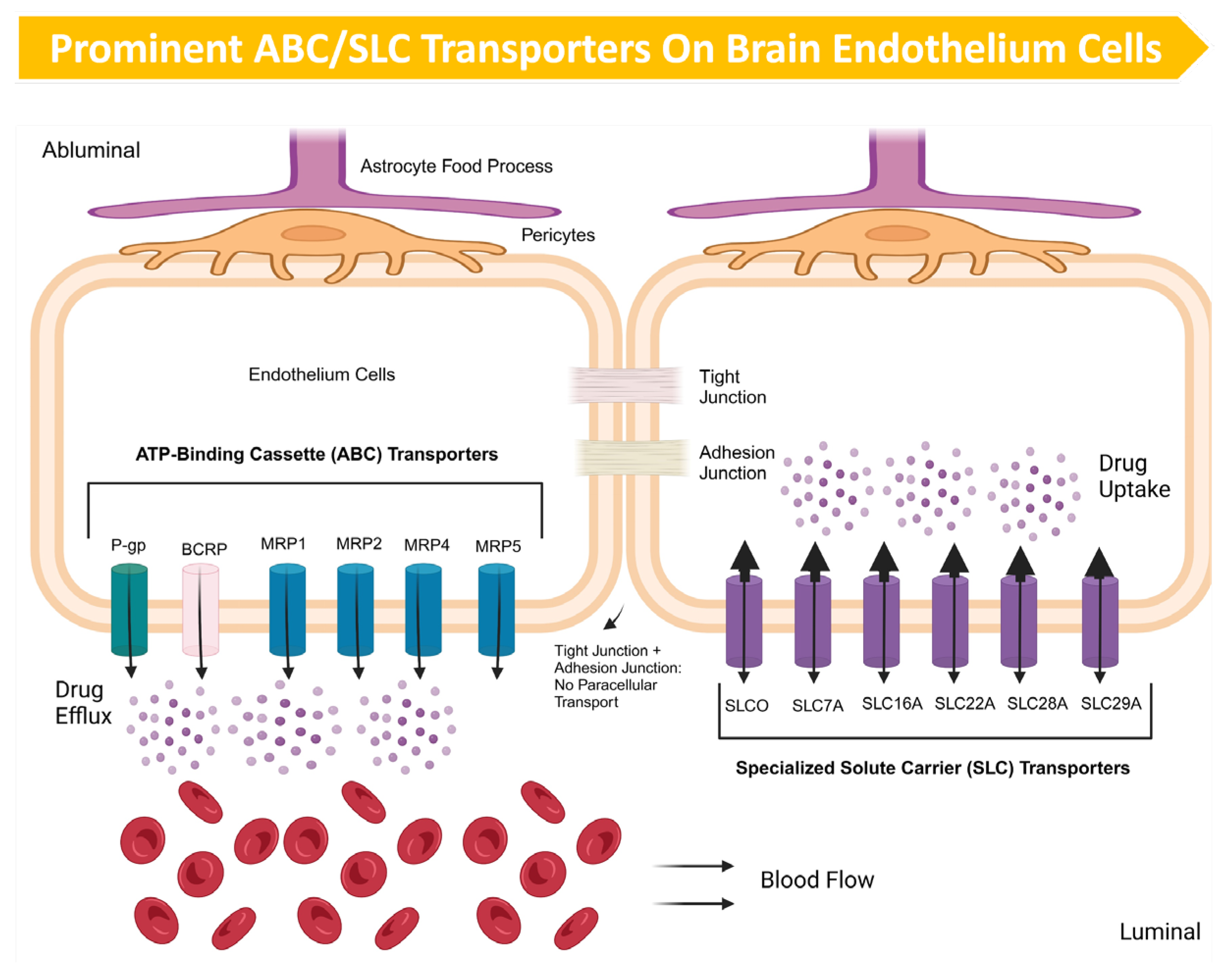 Cancers 17 00298 g004