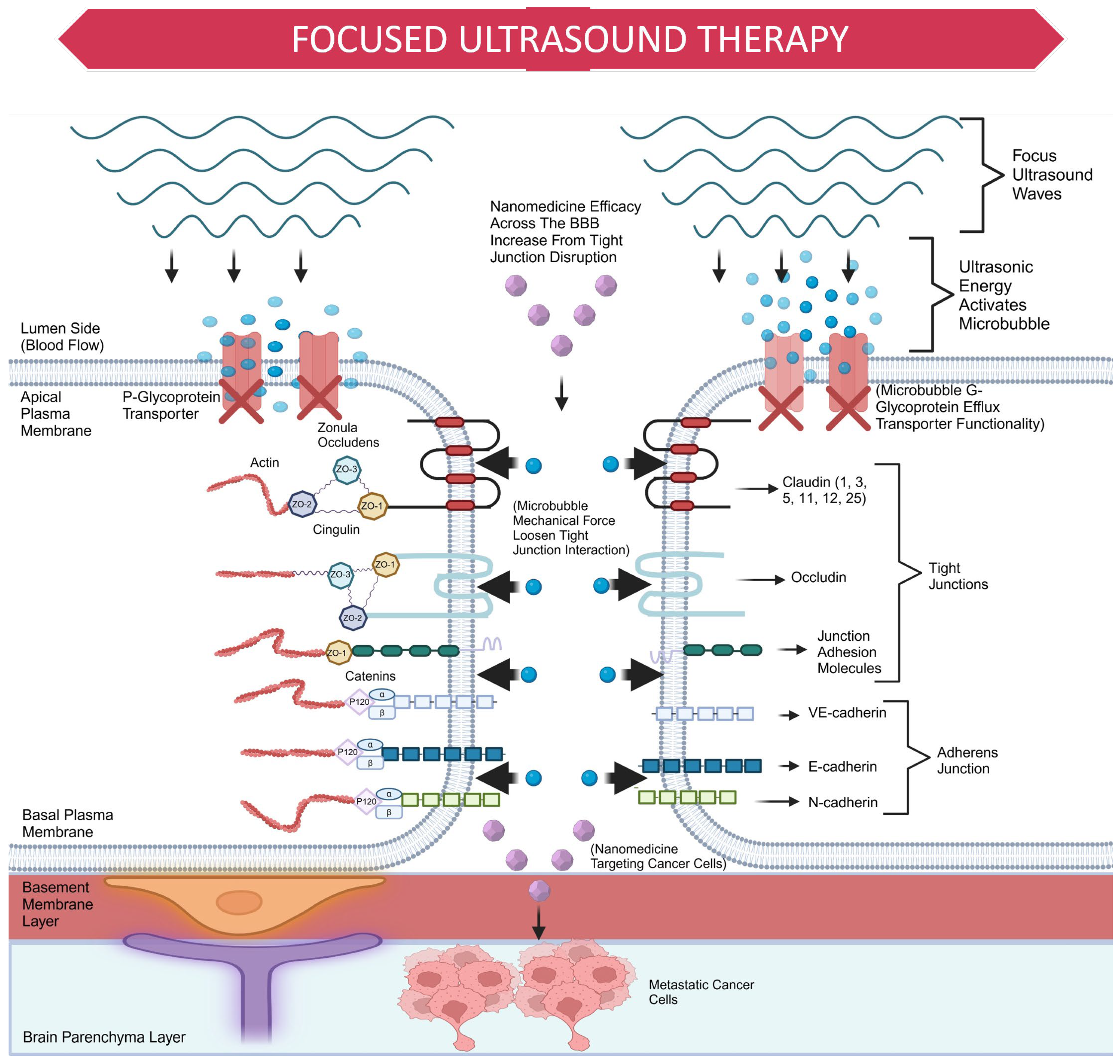 Cancers 17 00298 g005