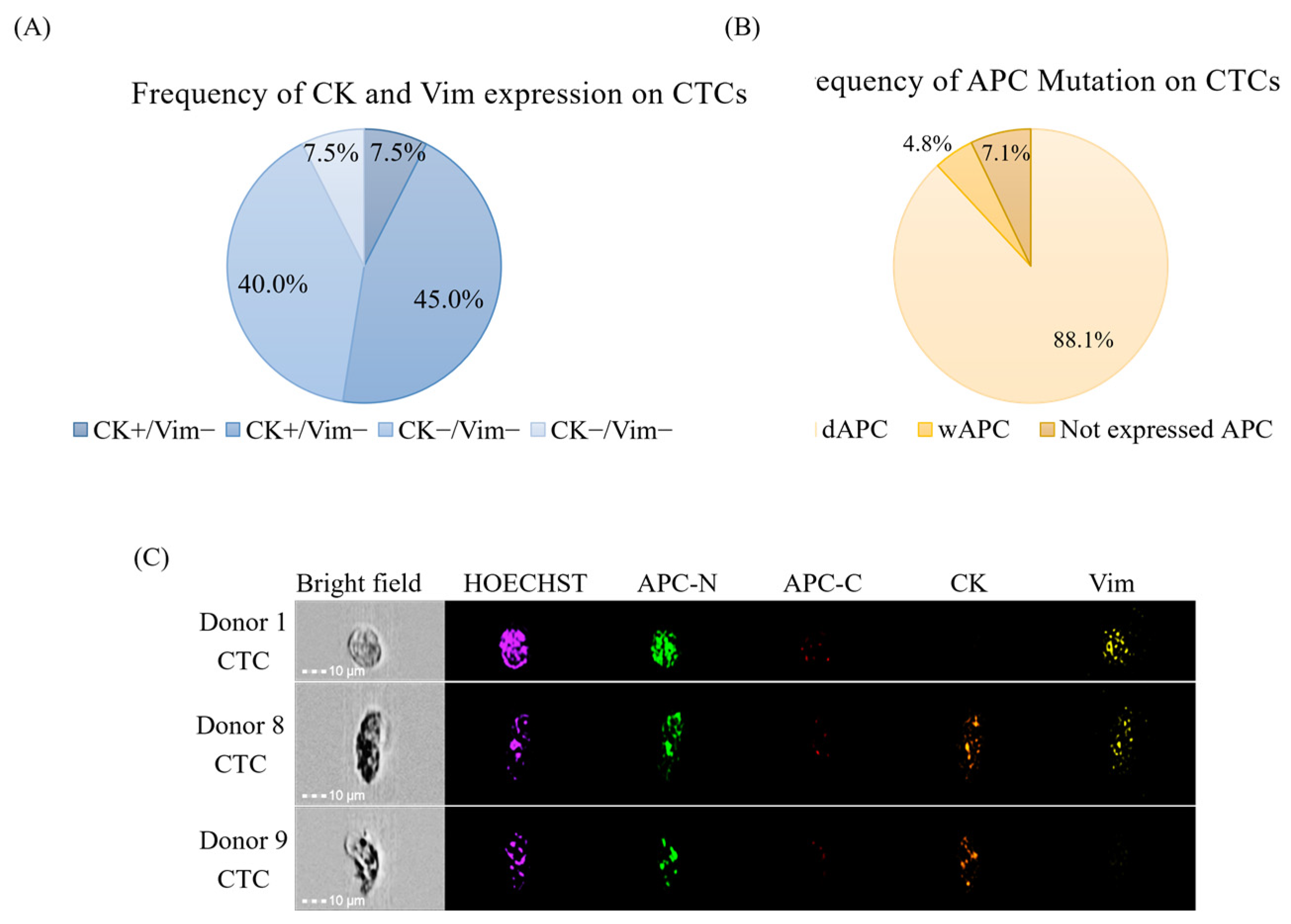 Cancers 17 00303 g004