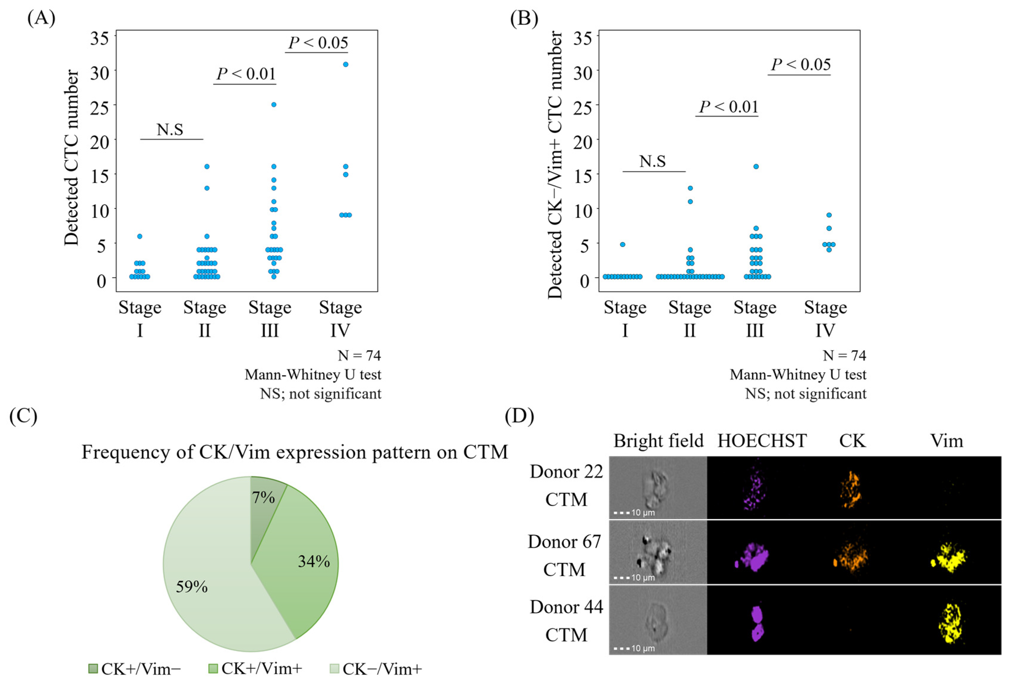Cancers 17 00303 g005