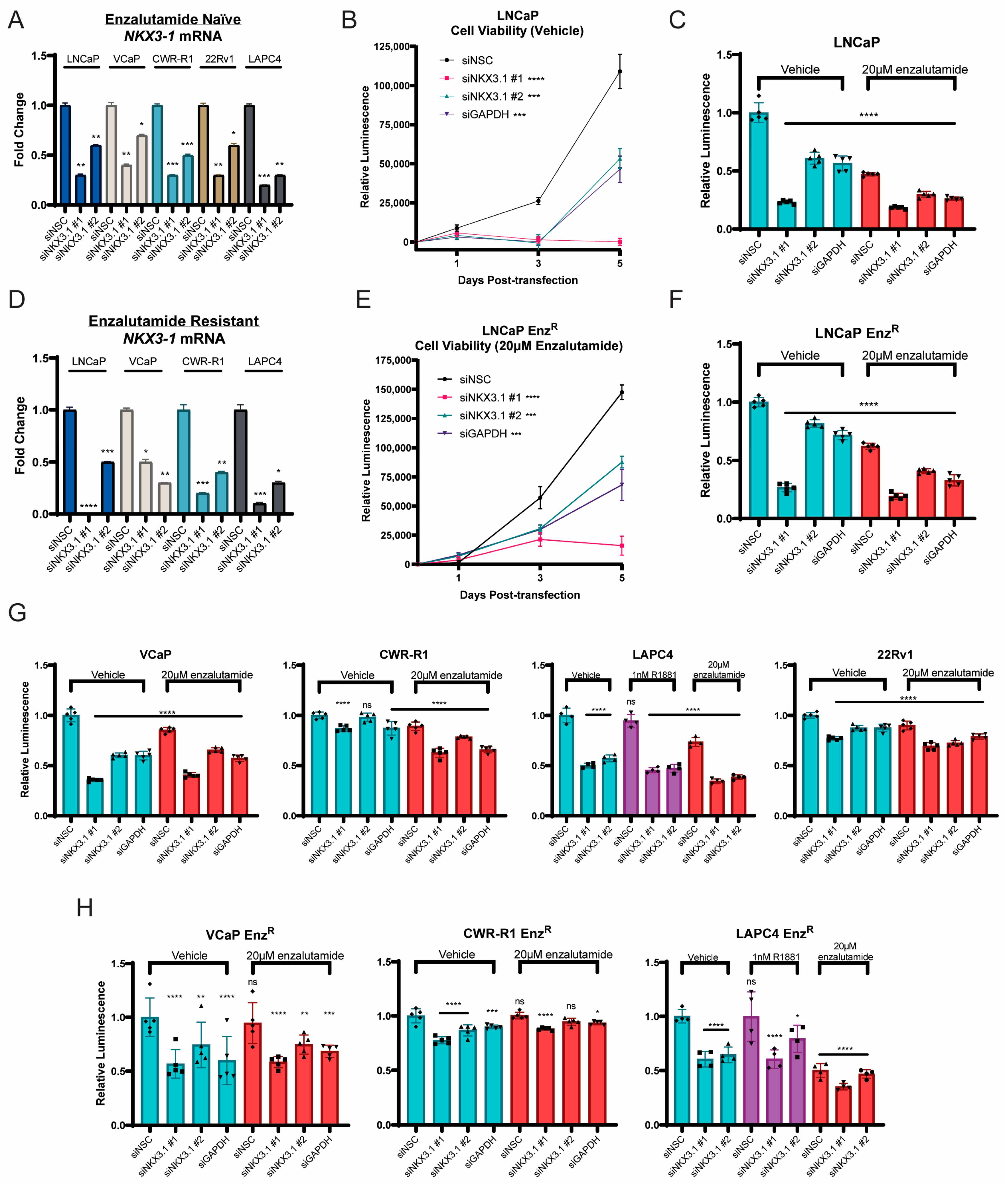 Cancers 17 00306 g002 Cancers 17 00306 g002