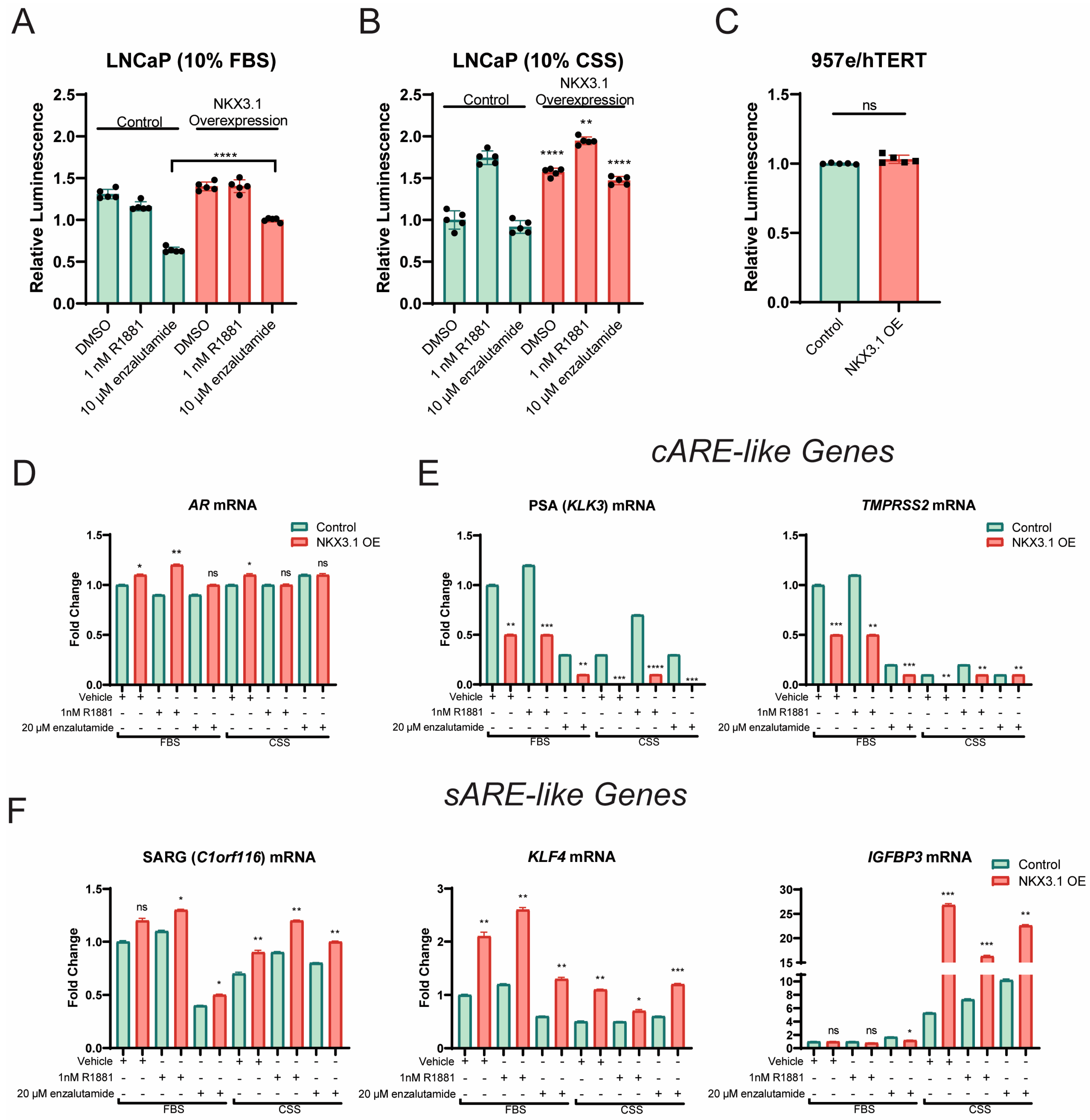 Cancers 17 00306 g004 Cancers 17 00306 g004