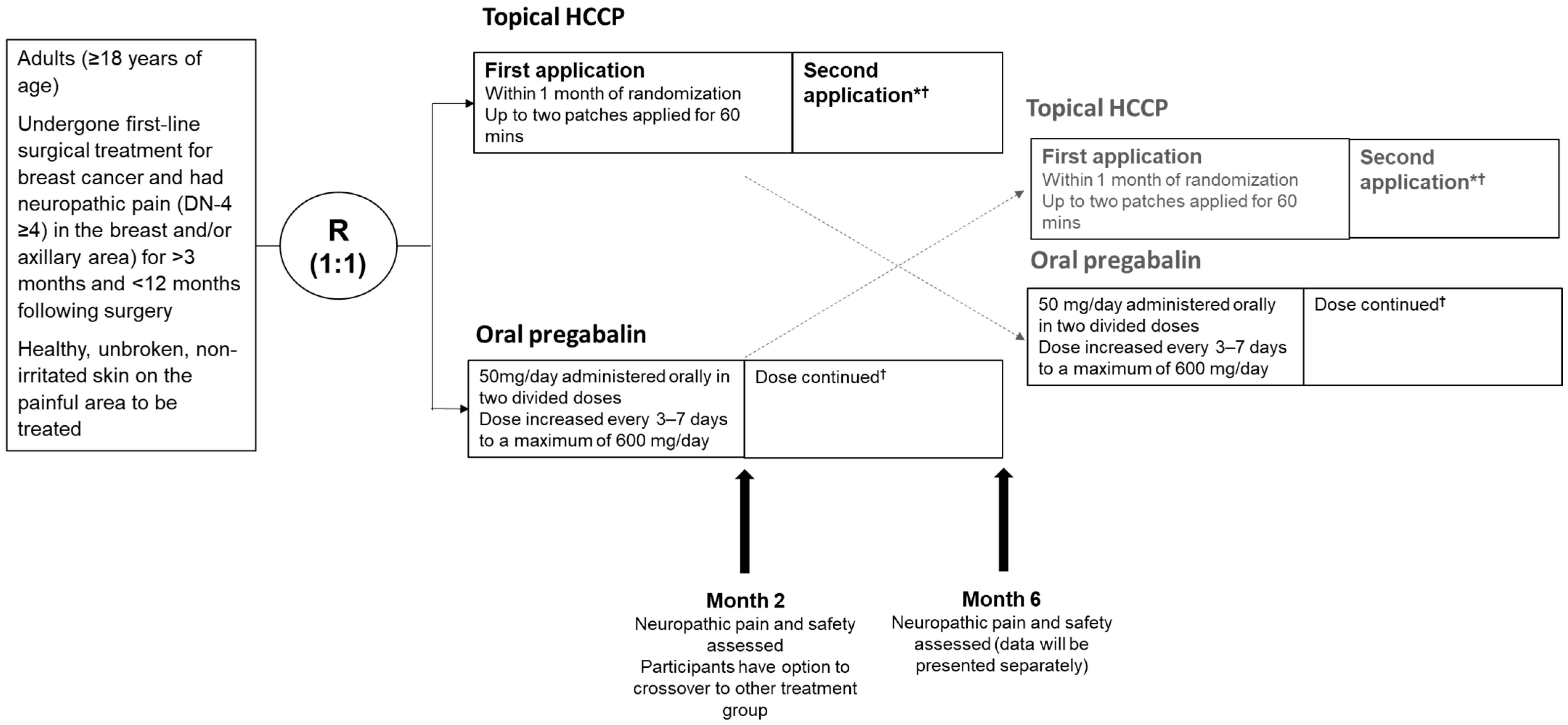 Cancers 17 00313 g001