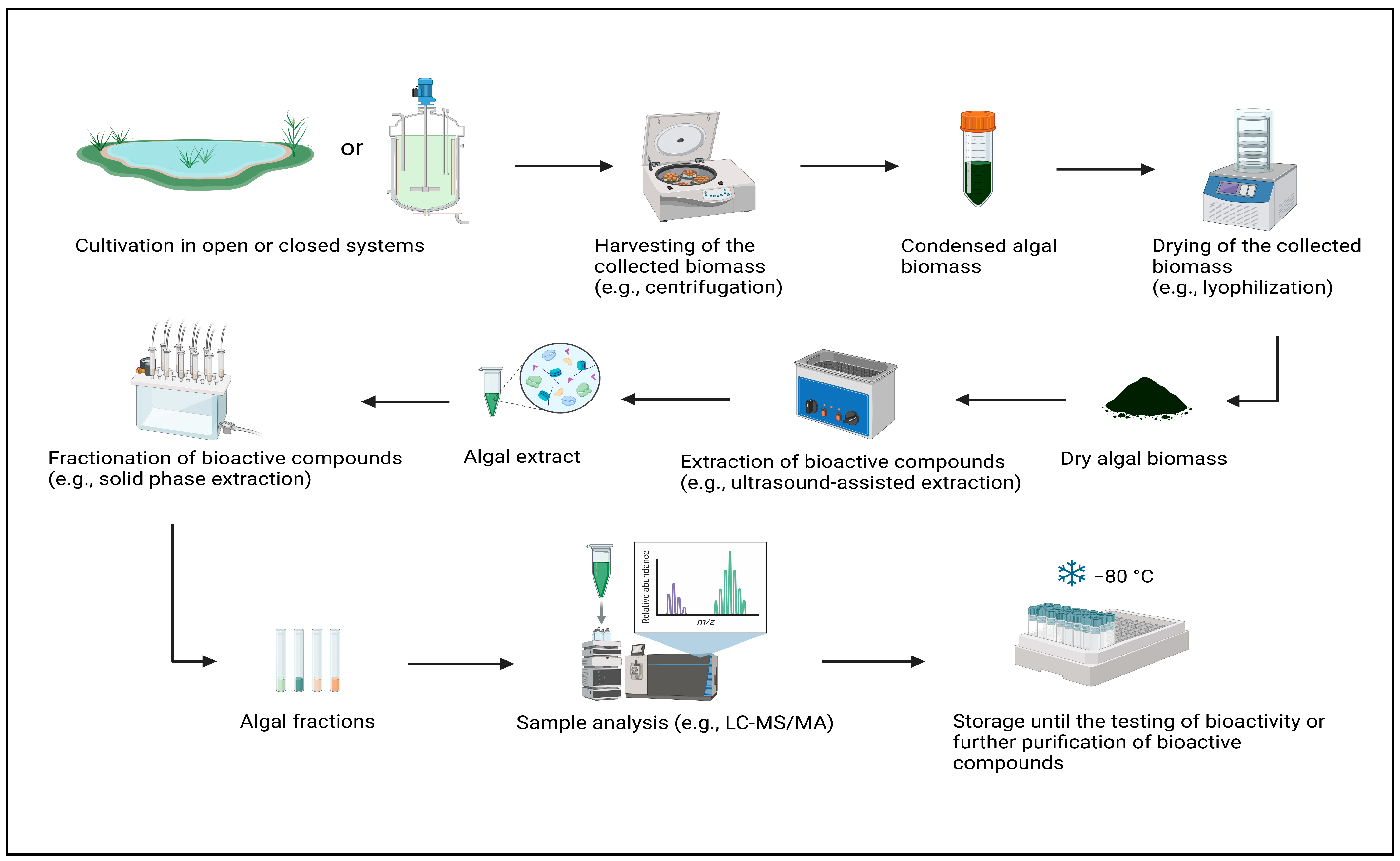 Cancers 17 00318 g001