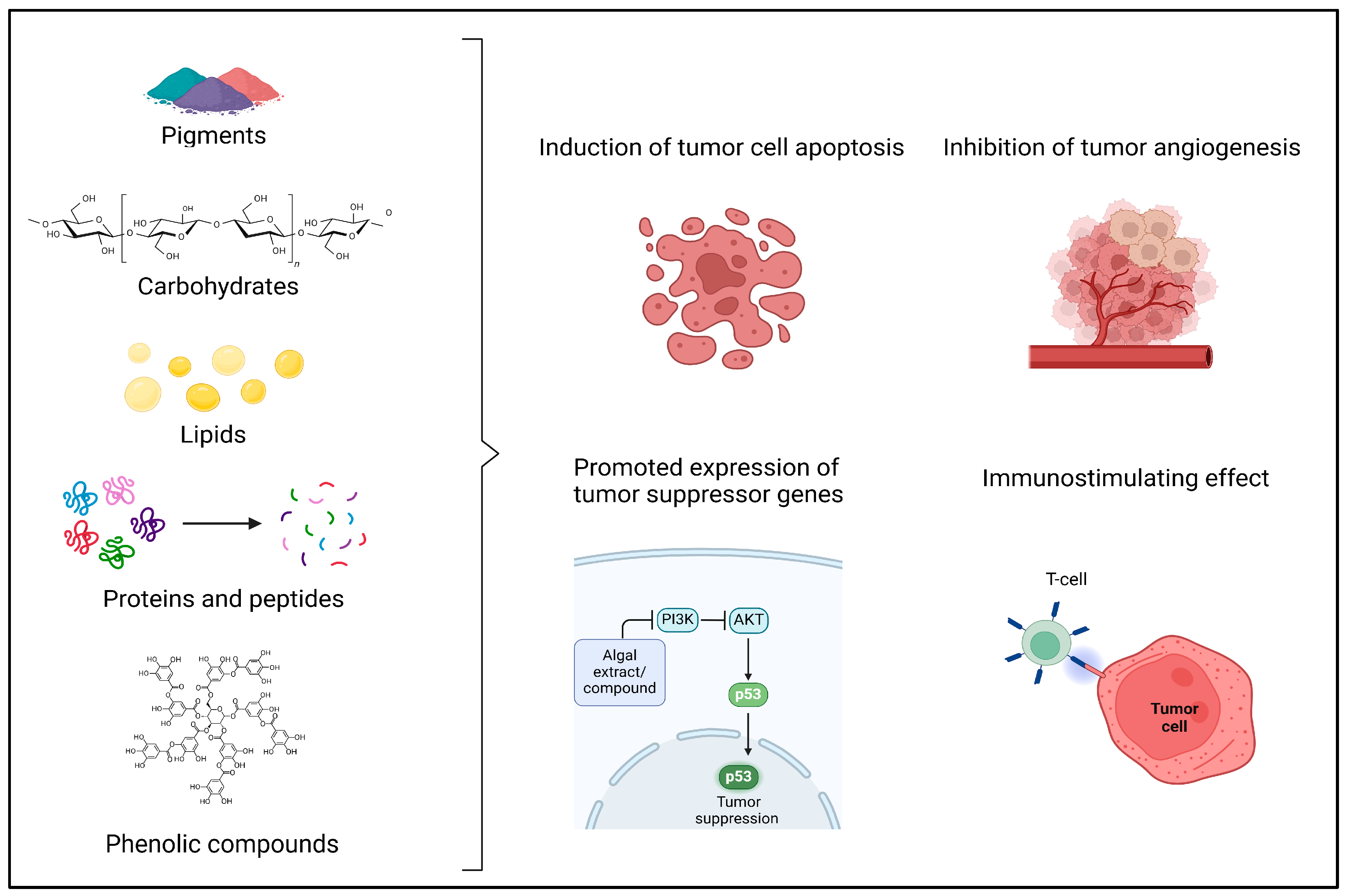 Cancers 17 00318 g002
