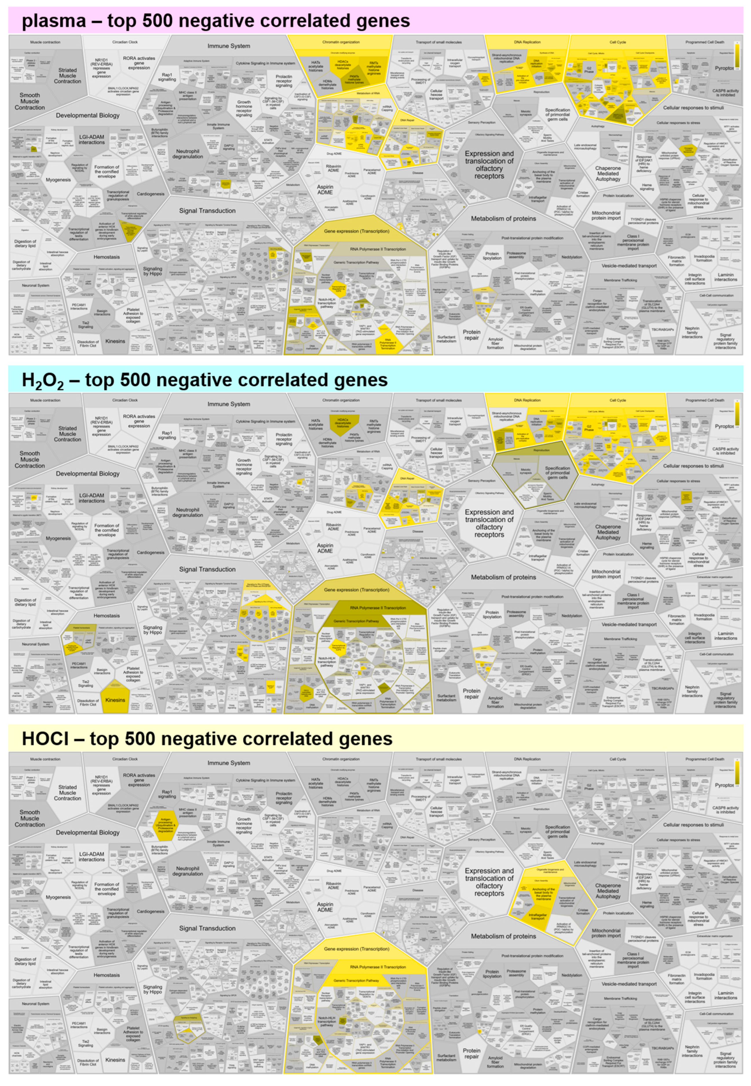 Cancers 17 00319 g0a3