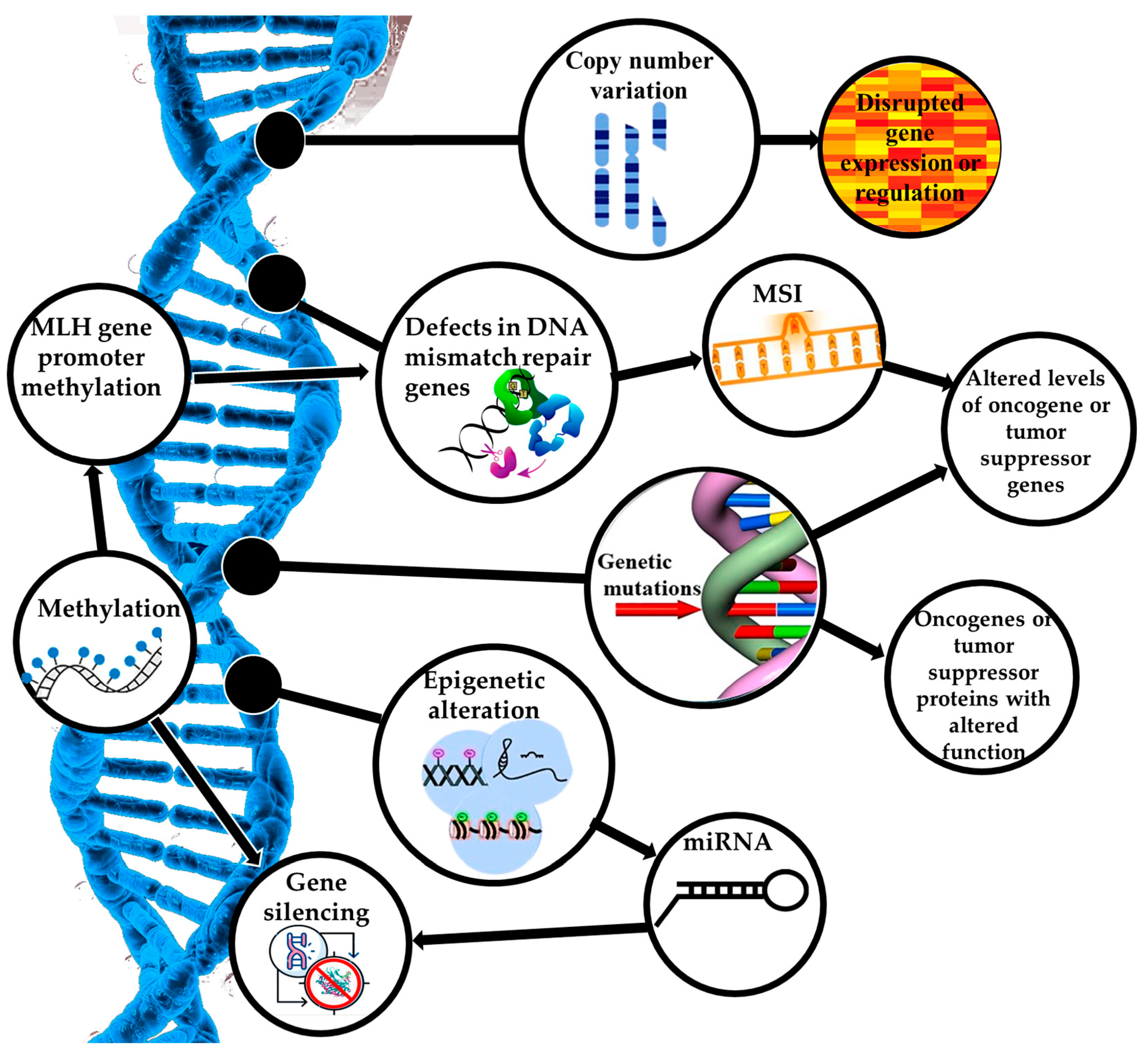 Cancers 17 00320 g002