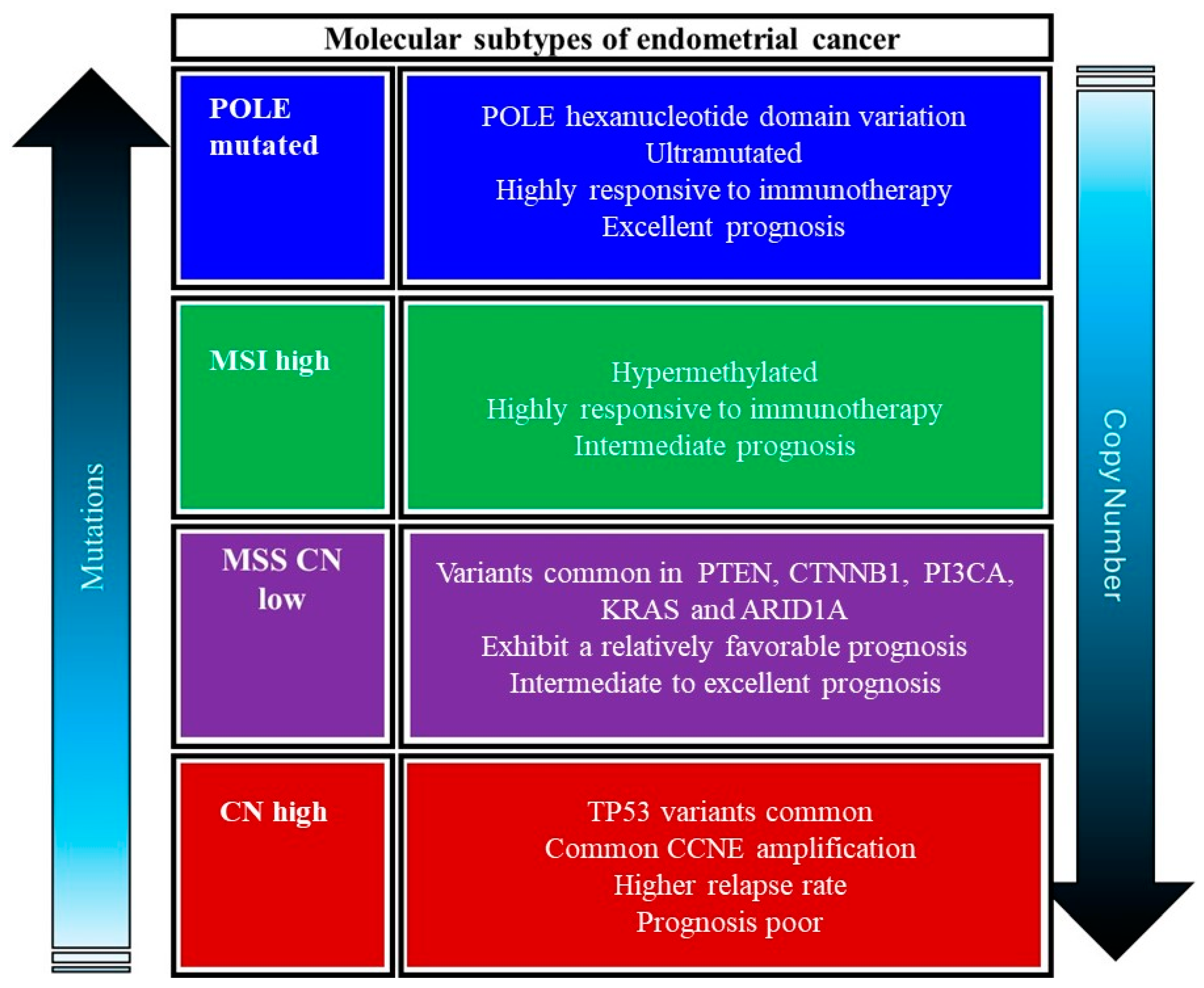 Cancers 17 00320 g006