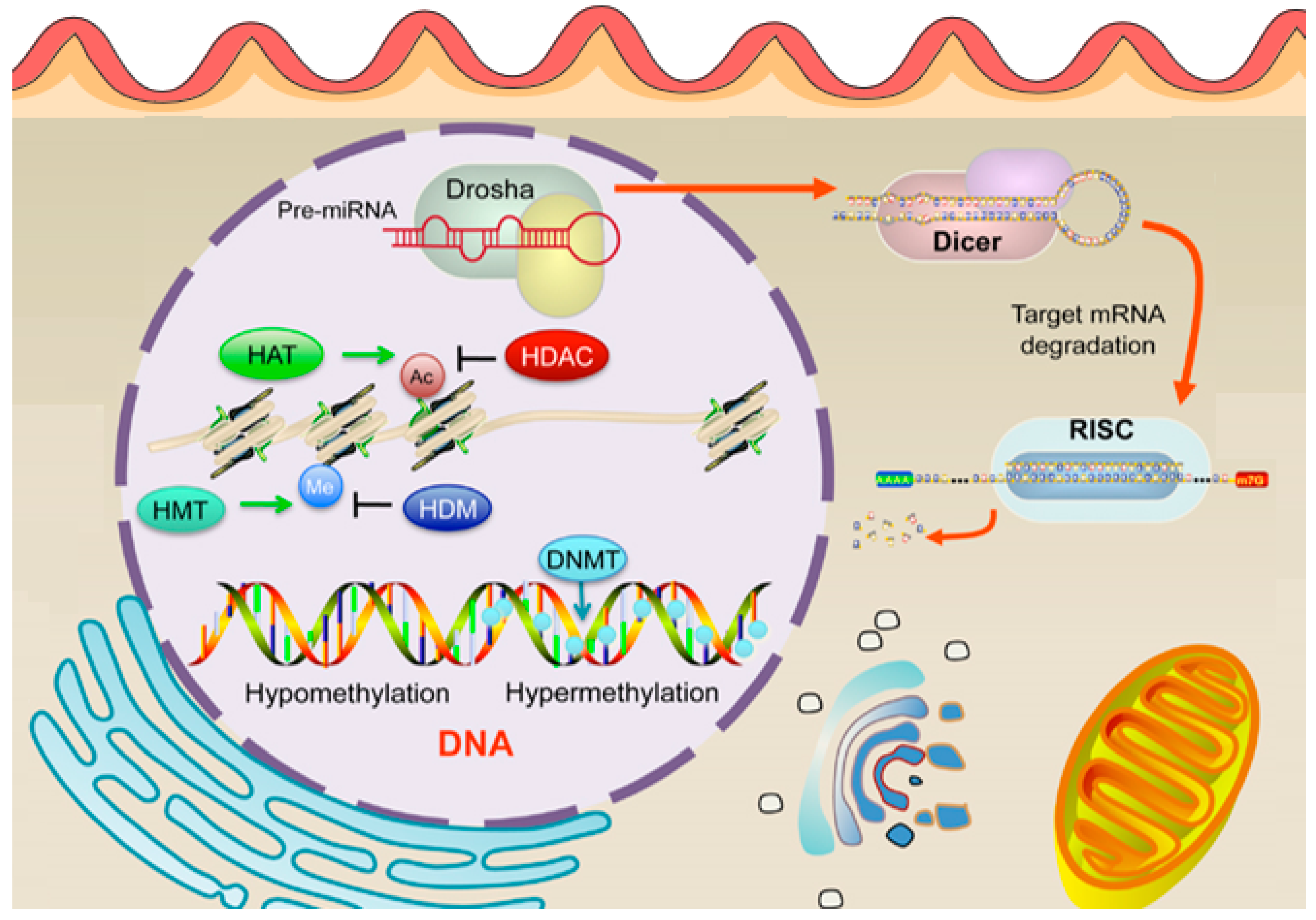 Cancers 17 00320 g008