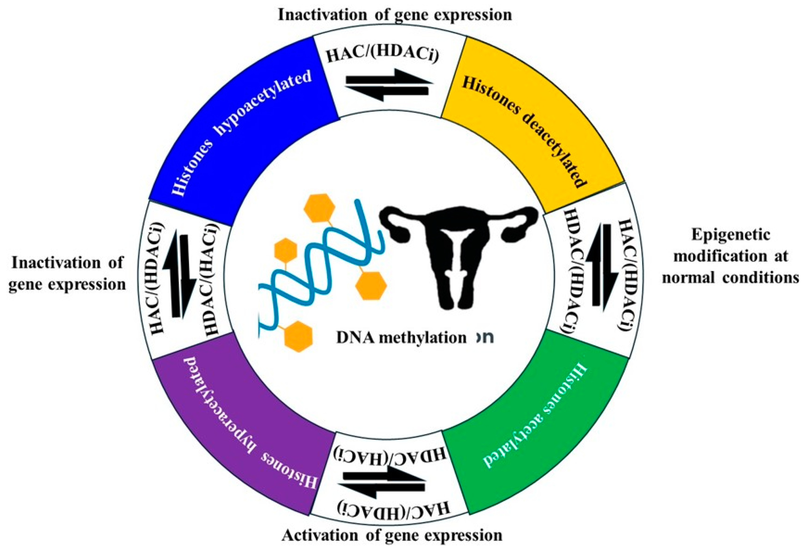Cancers 17 00320 g009