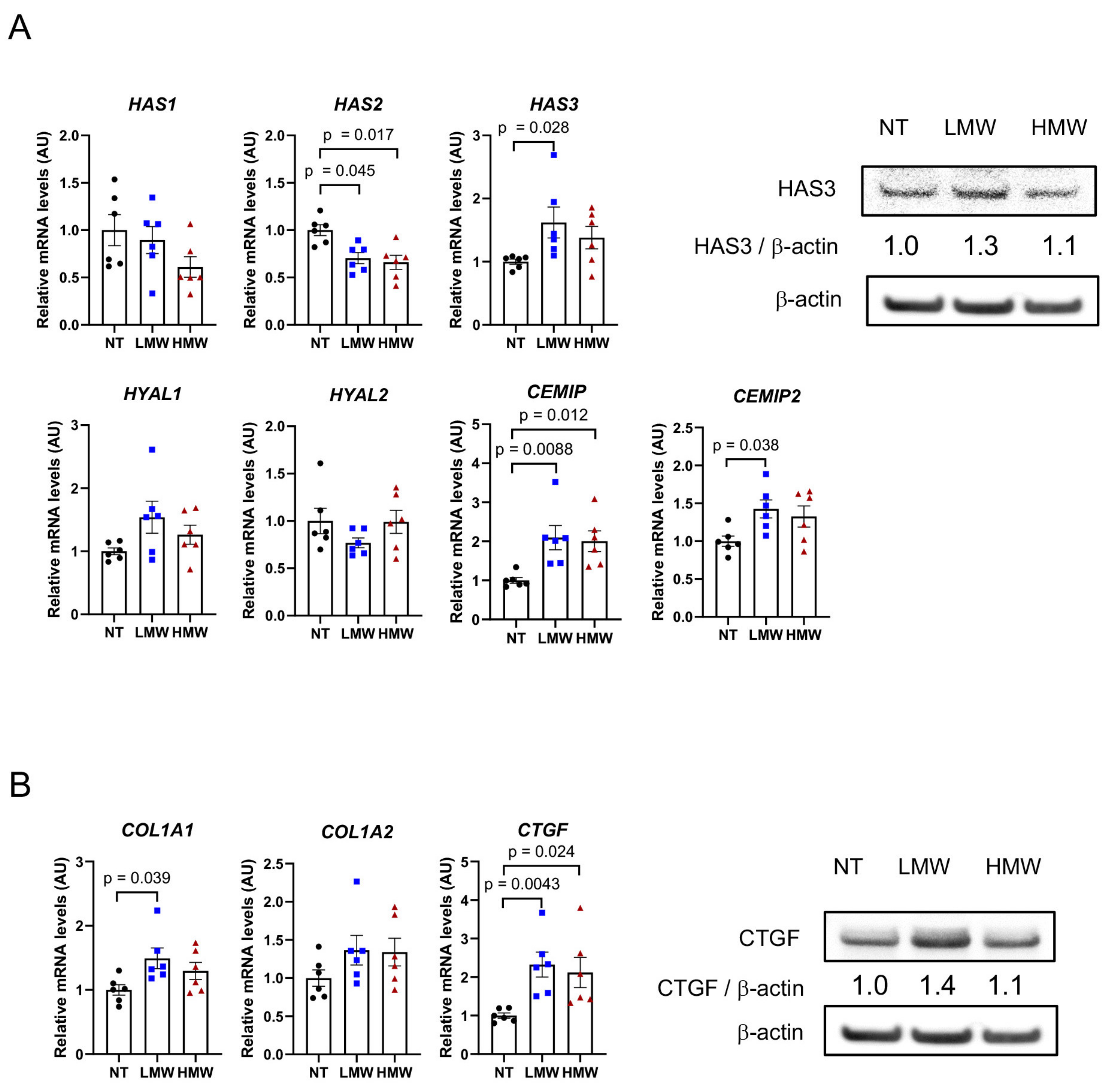 Cancers 17 00324 g004