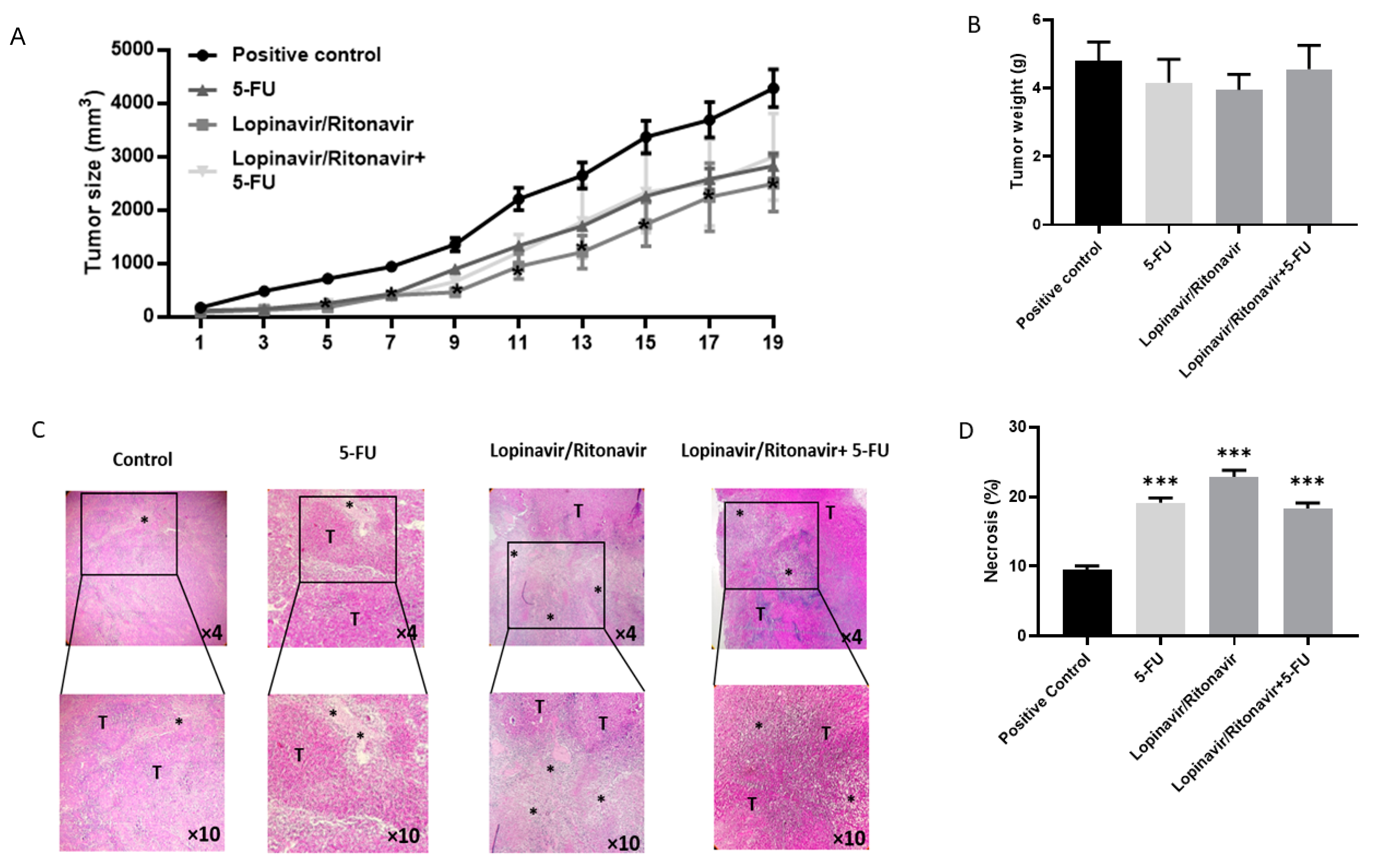 Cancers 17 00325 g004