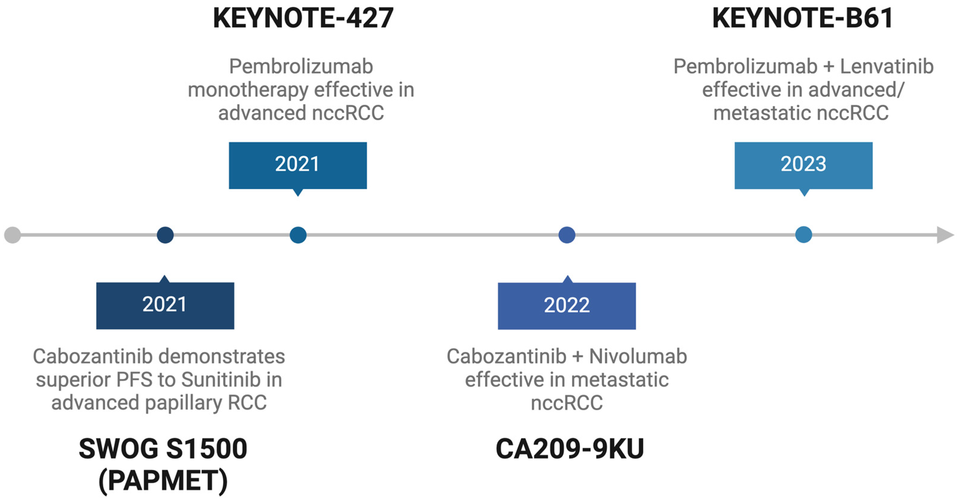 Cancers 17 00326 g001 Cancers 17 00326 g001
