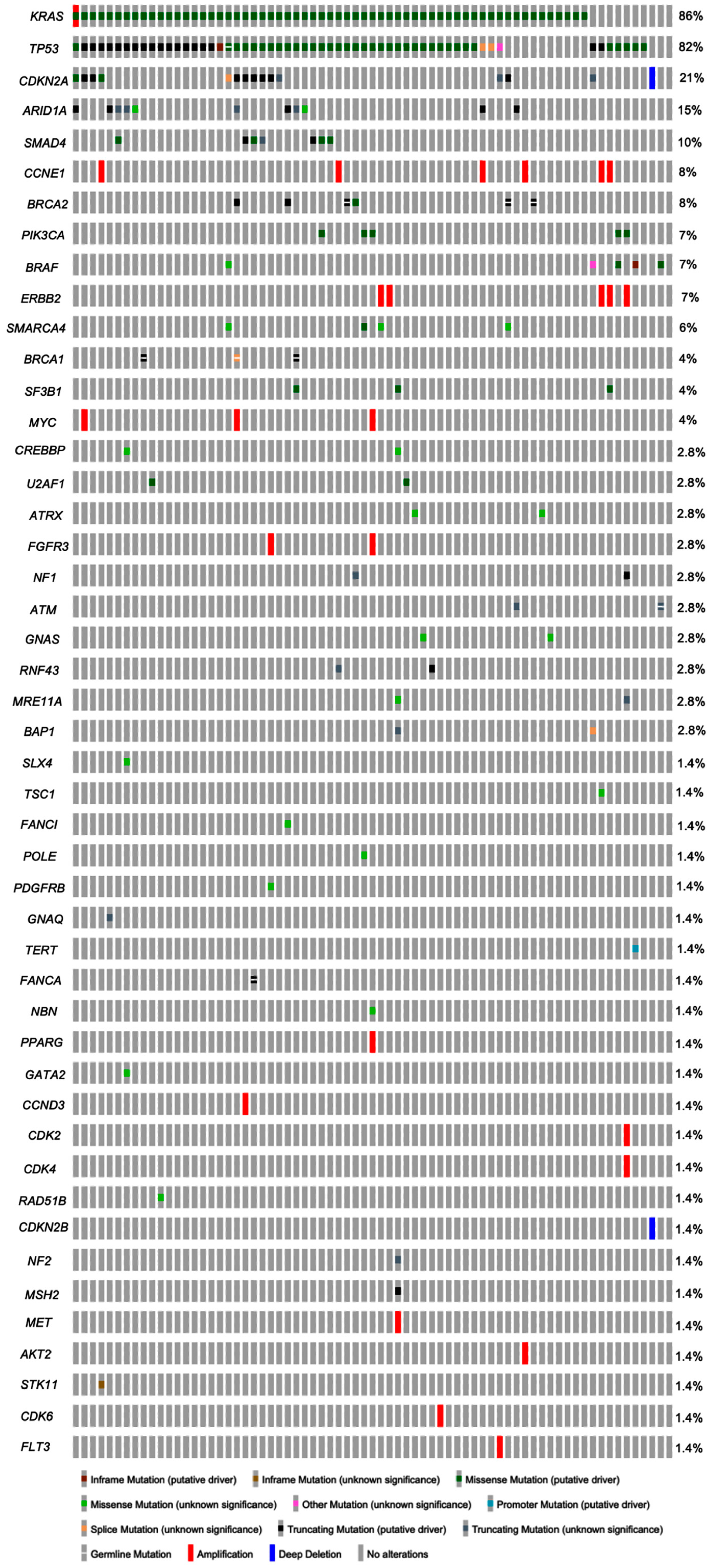Cancers 17 00335 g001