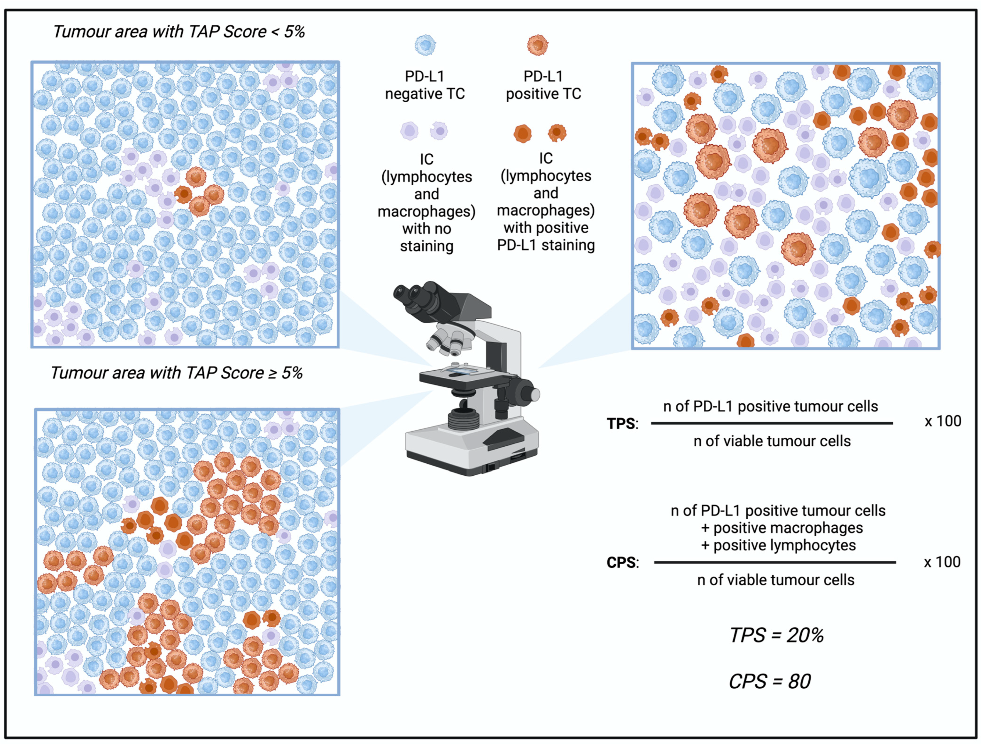 Cancers 17 00340 g001 Cancers 17 00340 g001