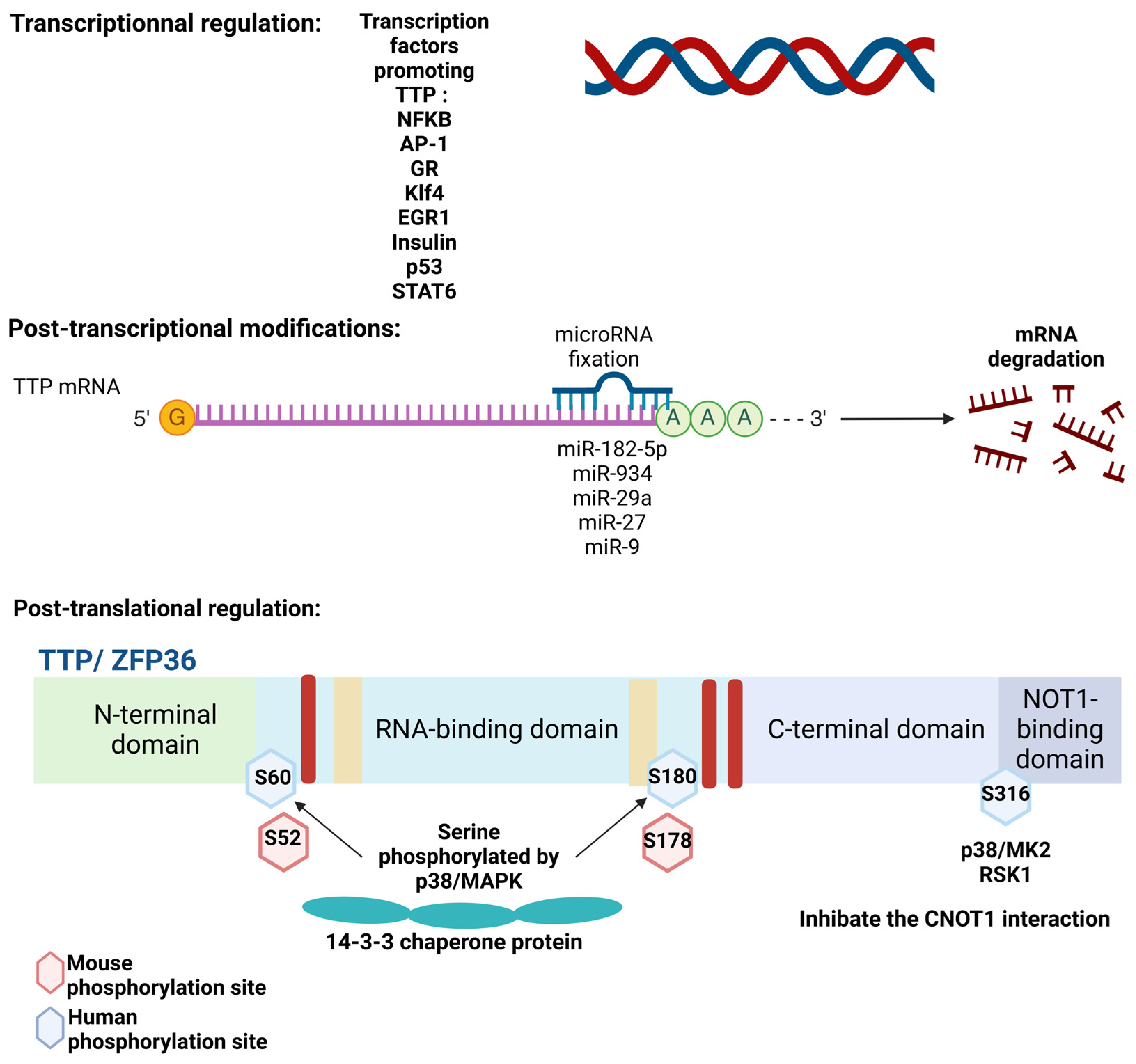 Cancers 17 00348 g003