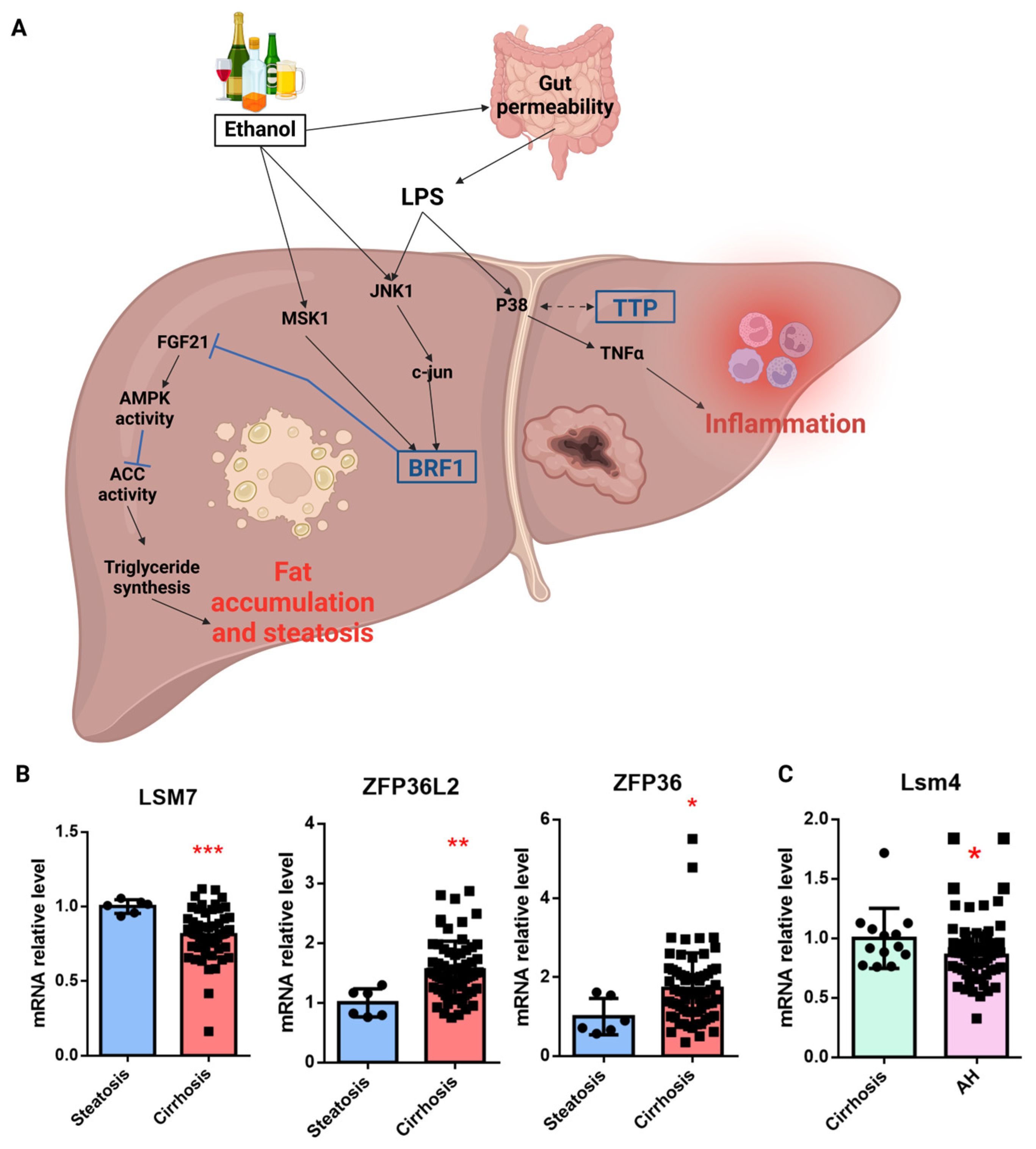 Cancers 17 00348 g005