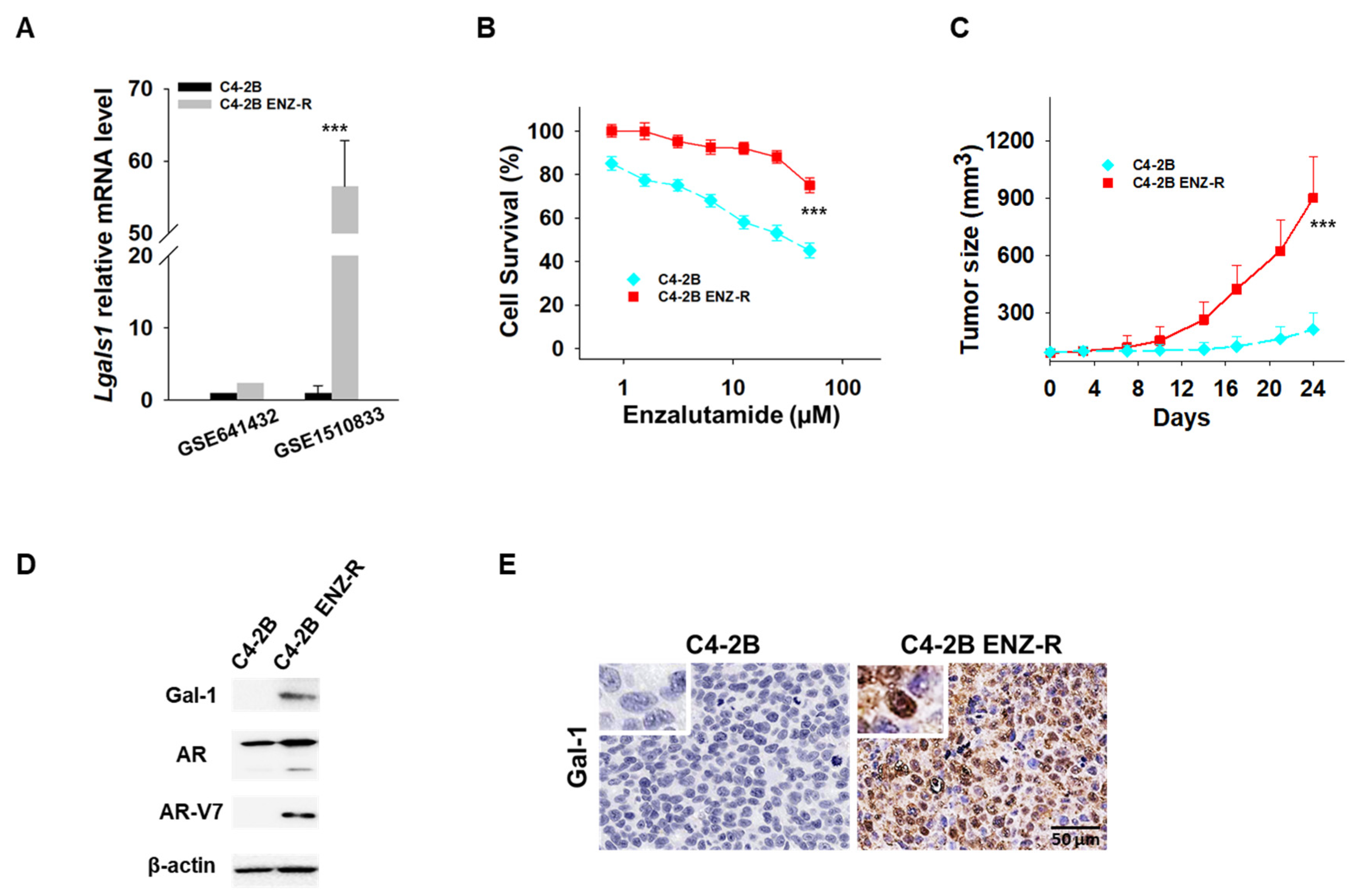 Cancers 17 00351 g001