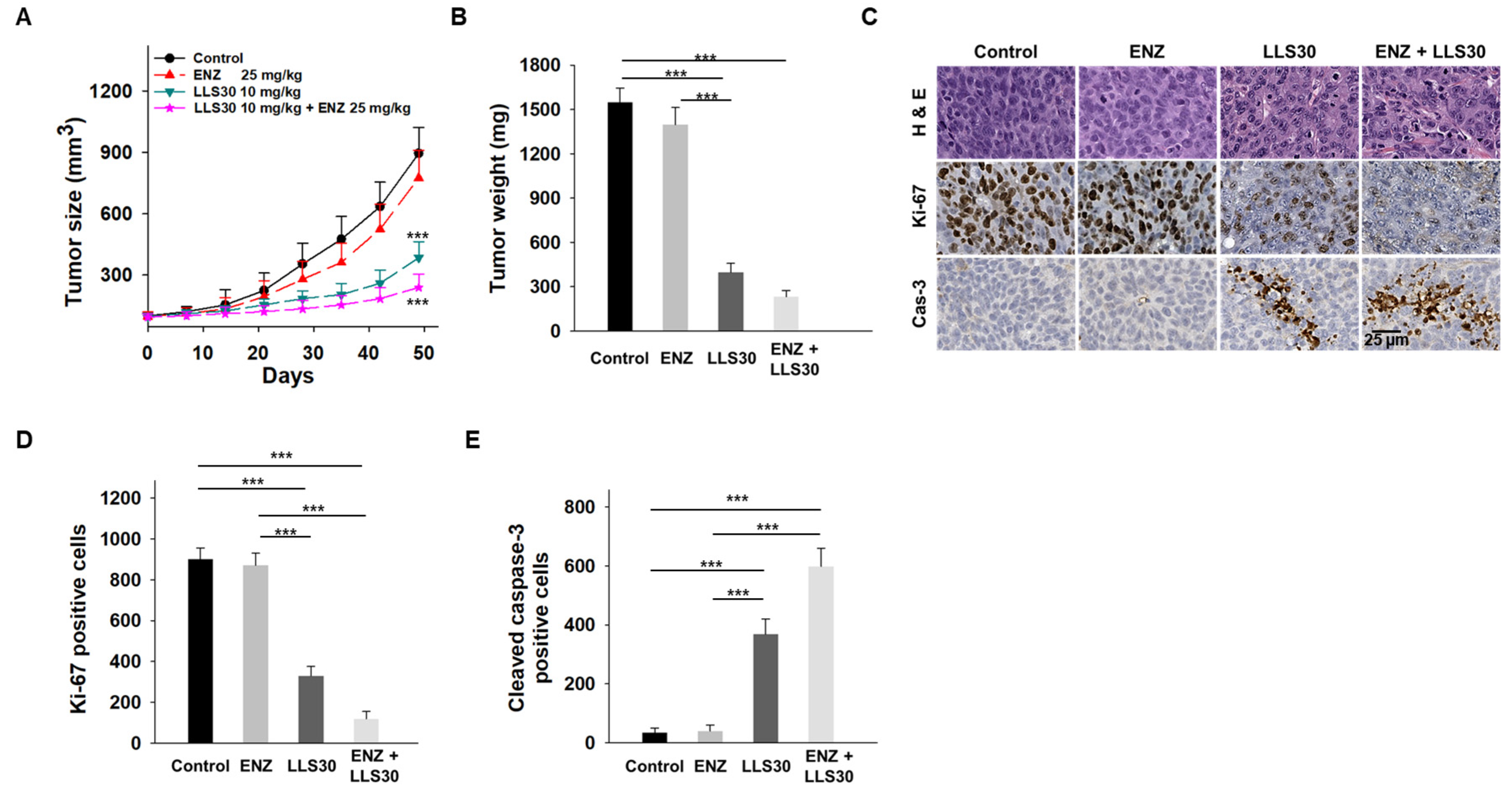 Cancers 17 00351 g006