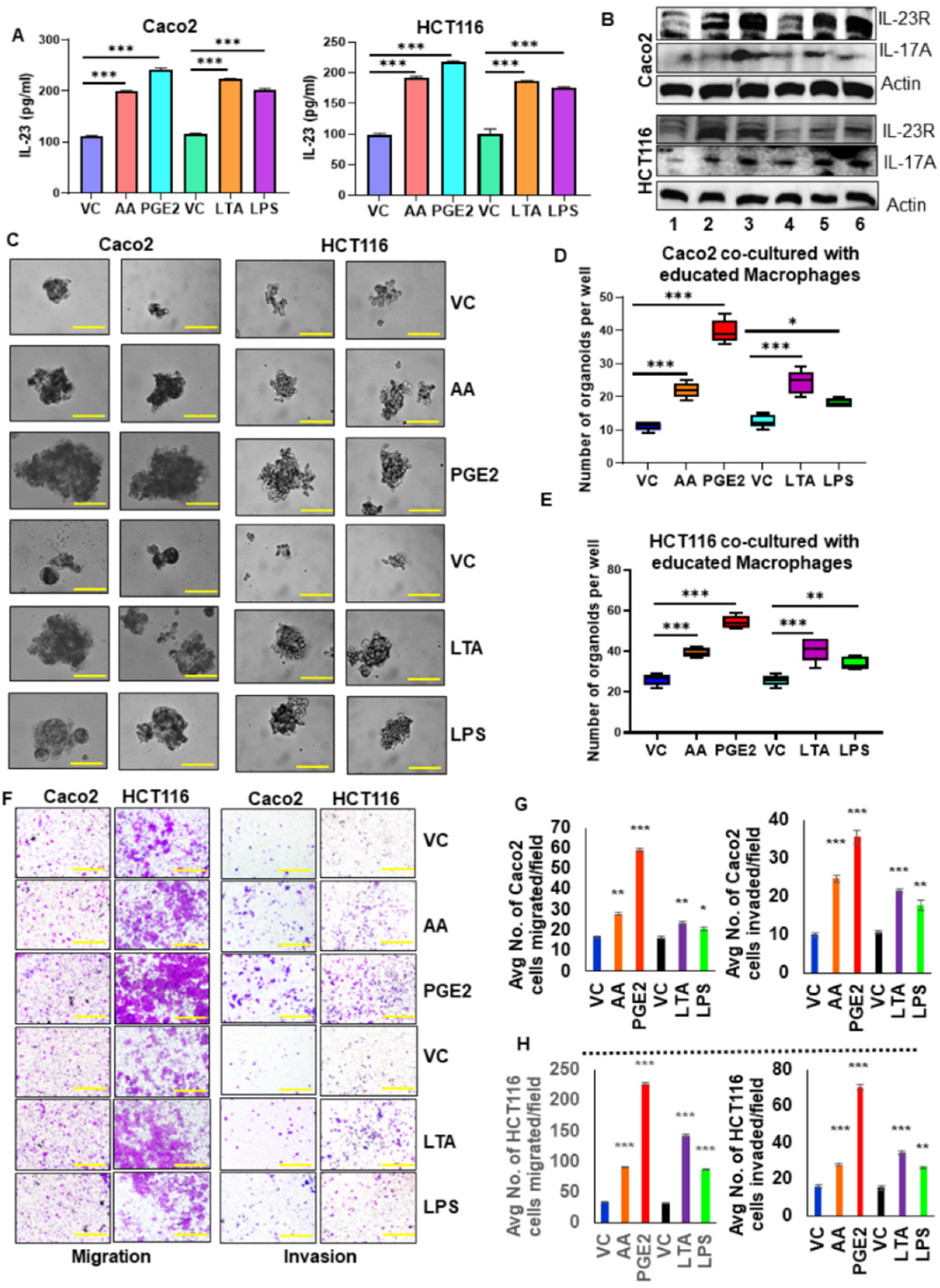 Cancers 17 00352 g005