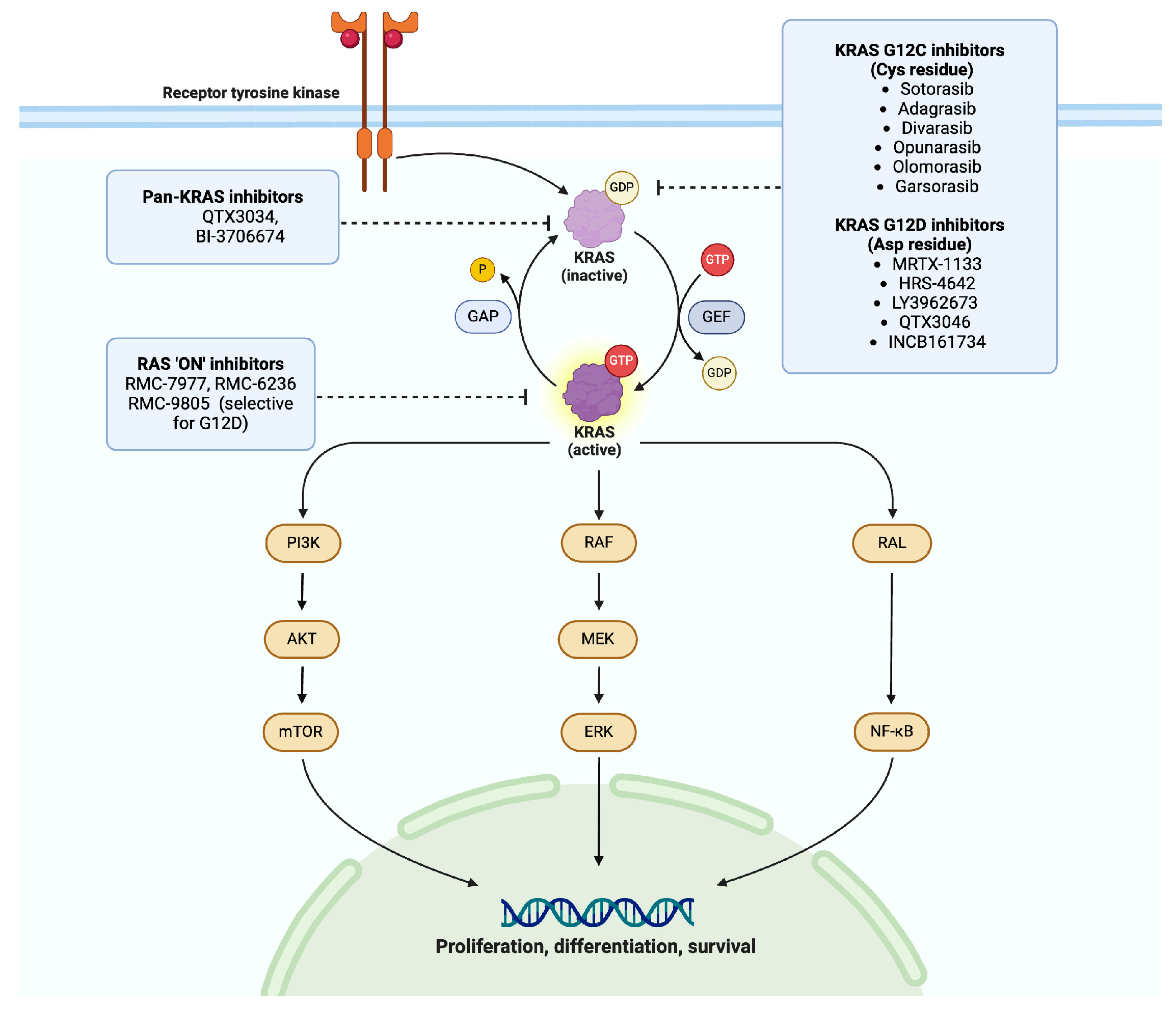 Cancers 17 00353 g001