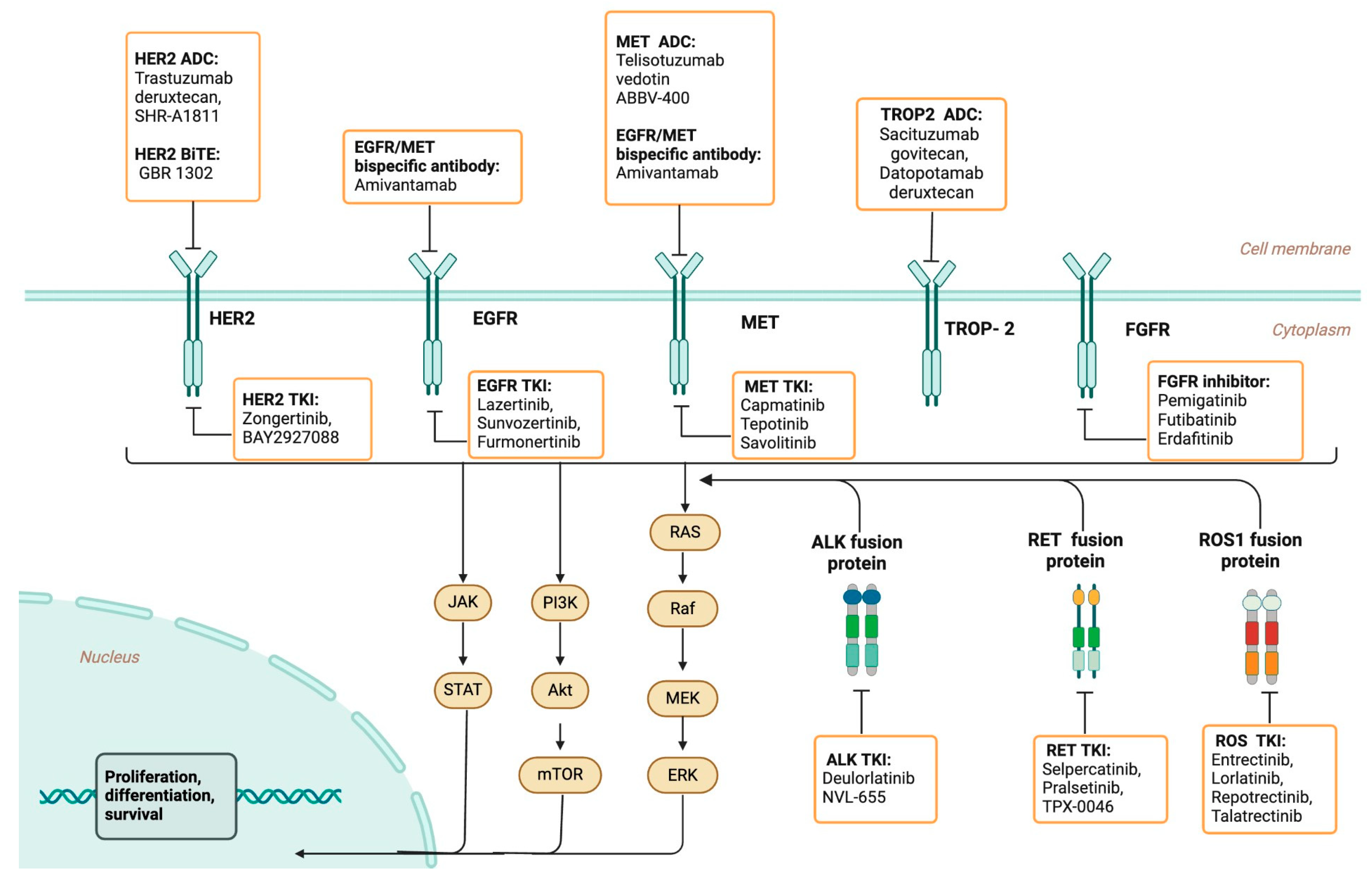 Cancers 17 00353 g002